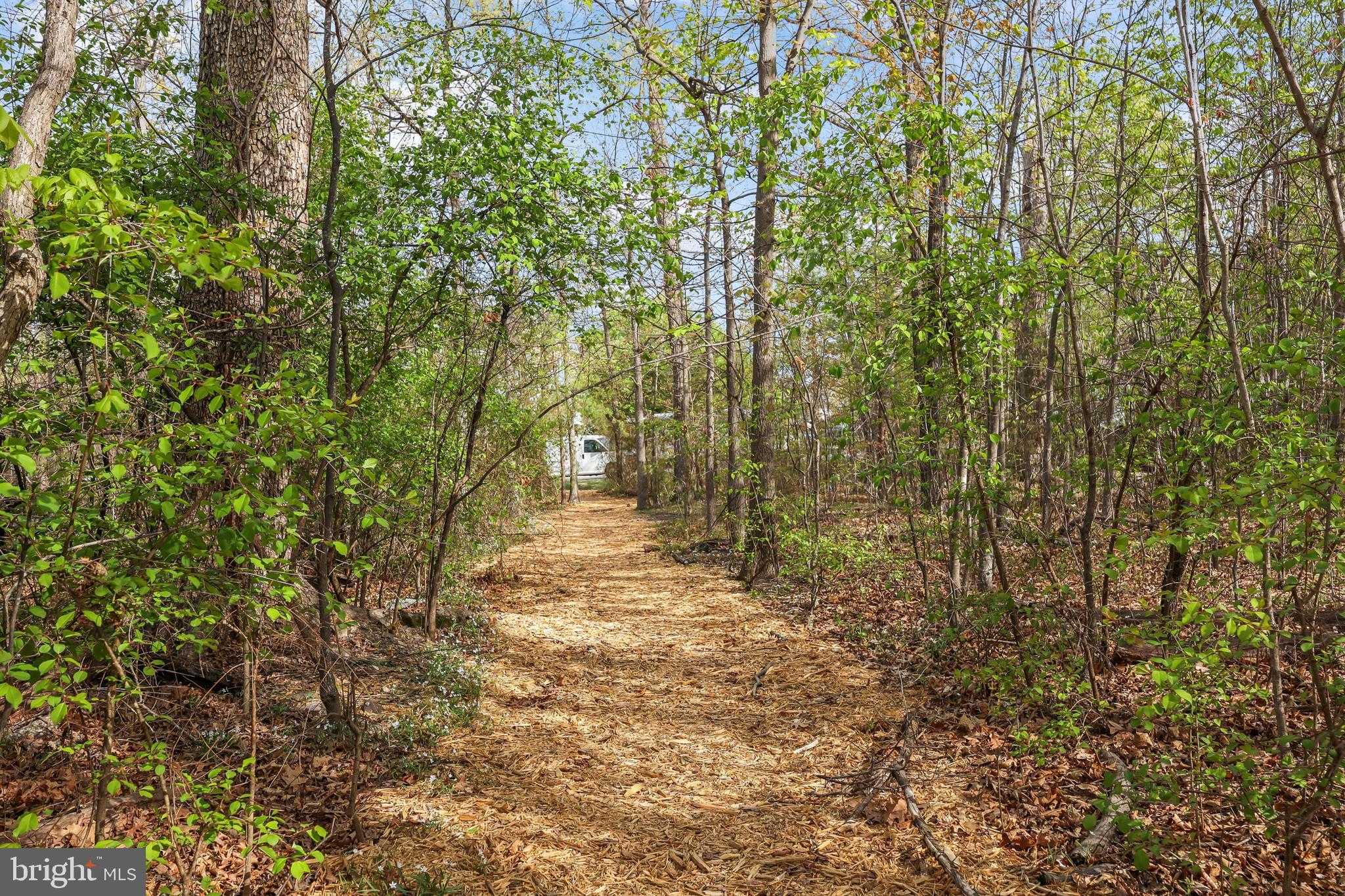 42125 Byrnes View Ter photo 40