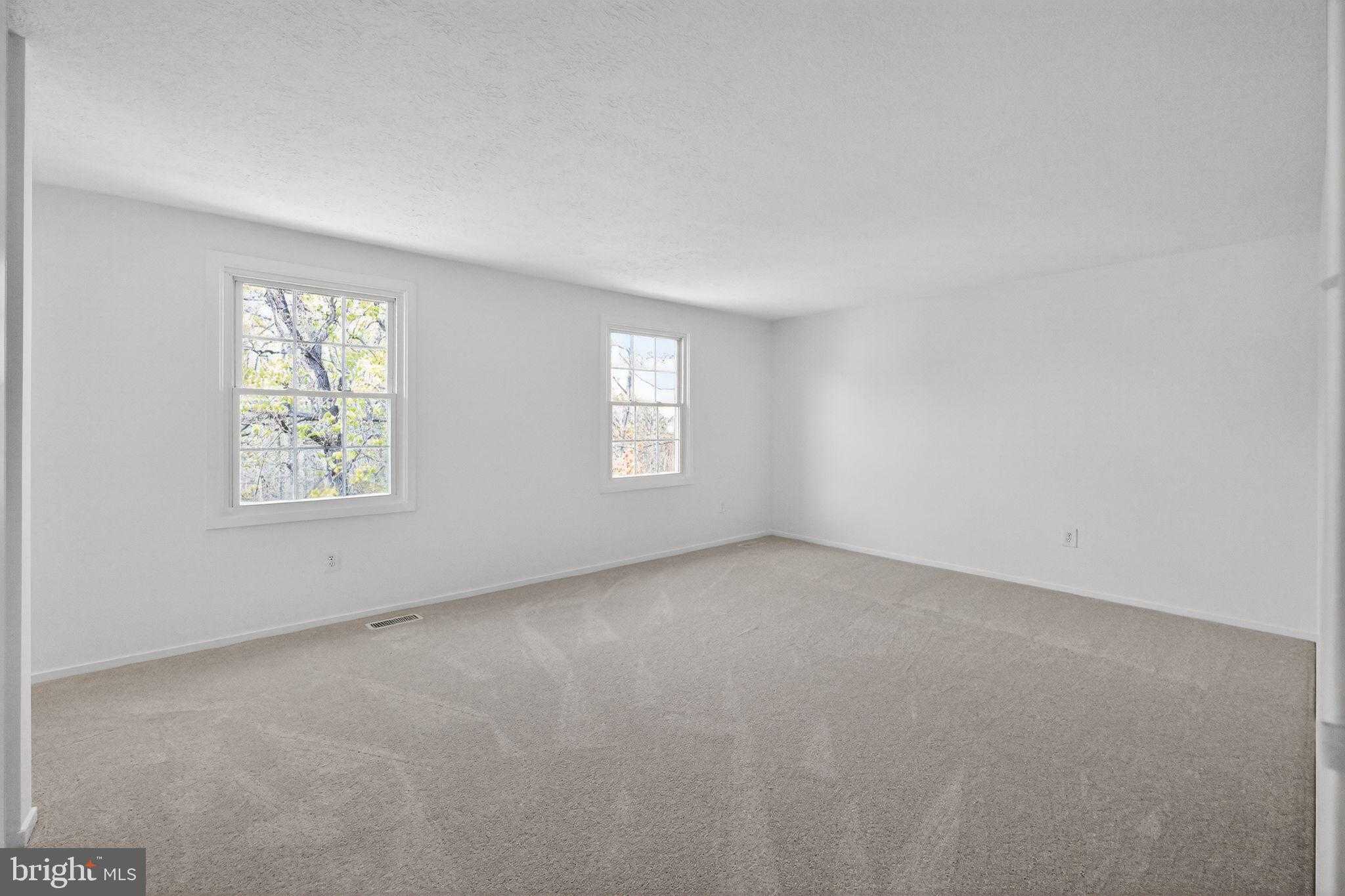 207 Whitsons Run photo 13