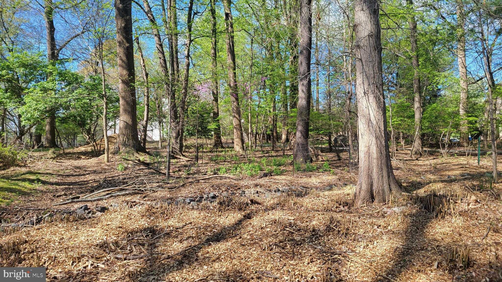 302 New Mark Esplanade photo 3