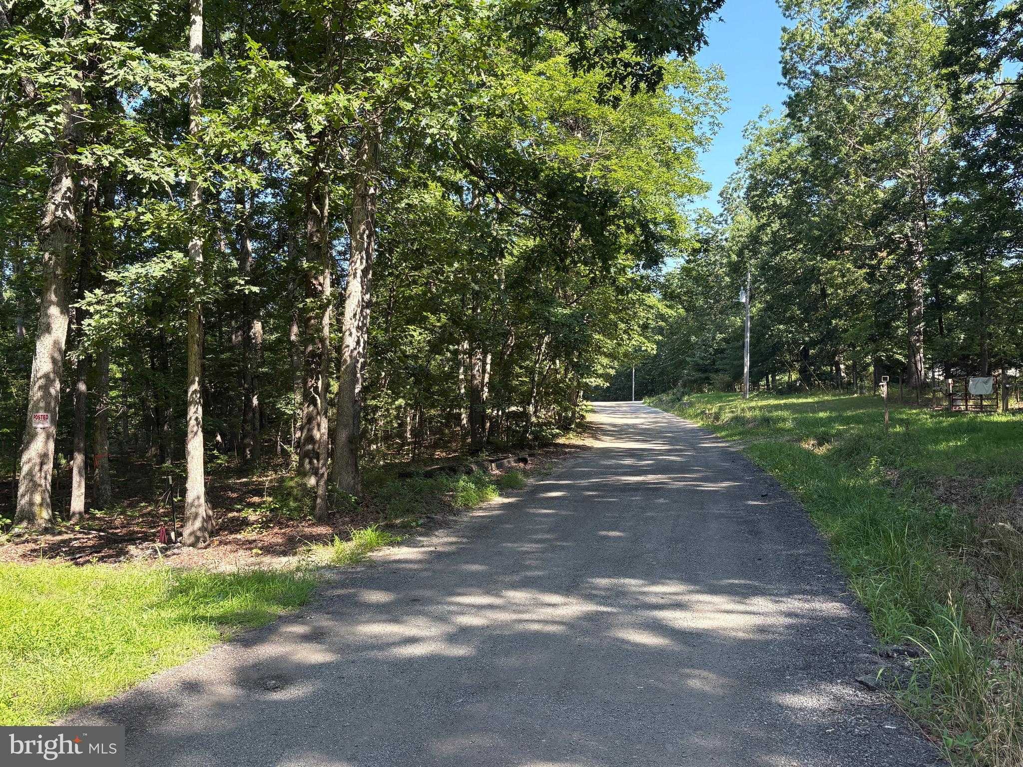 23 Taylor Rd photo 4