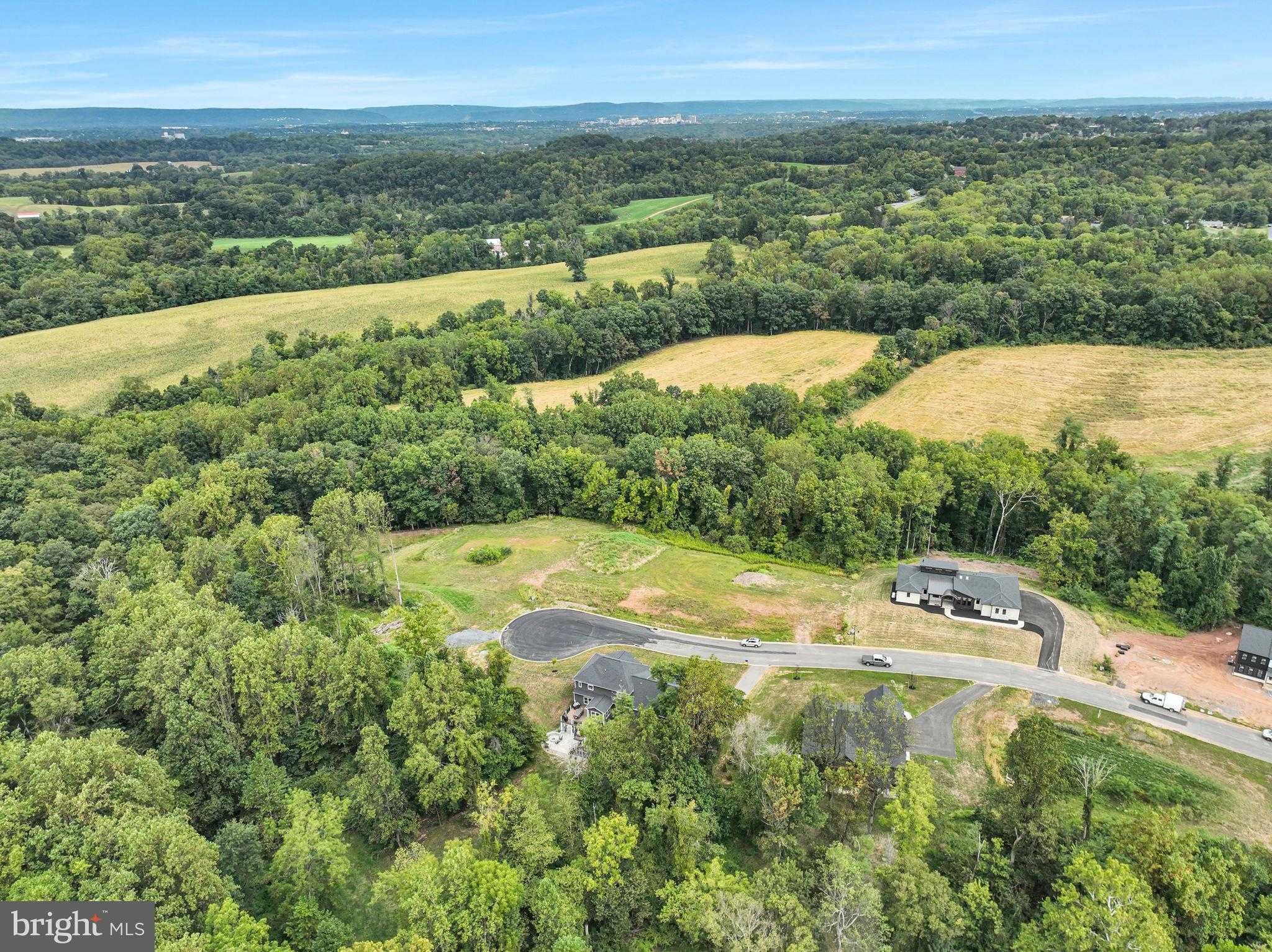 406 Willow Oak Dr photo 25