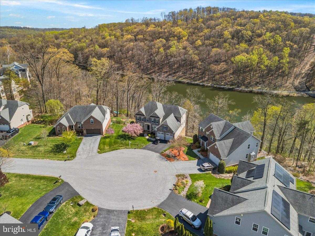 9807 Accipiter CT photo 60