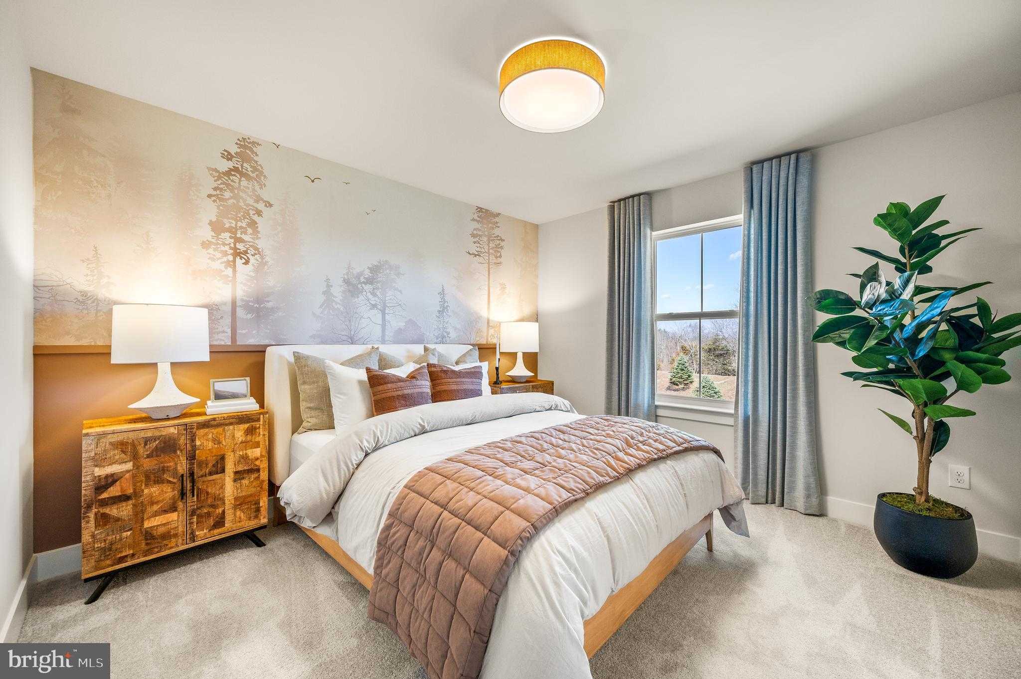 58 Steiner Way photo 33