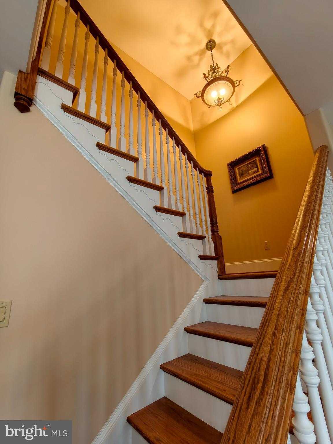 562 Farmdale Cir photo 19