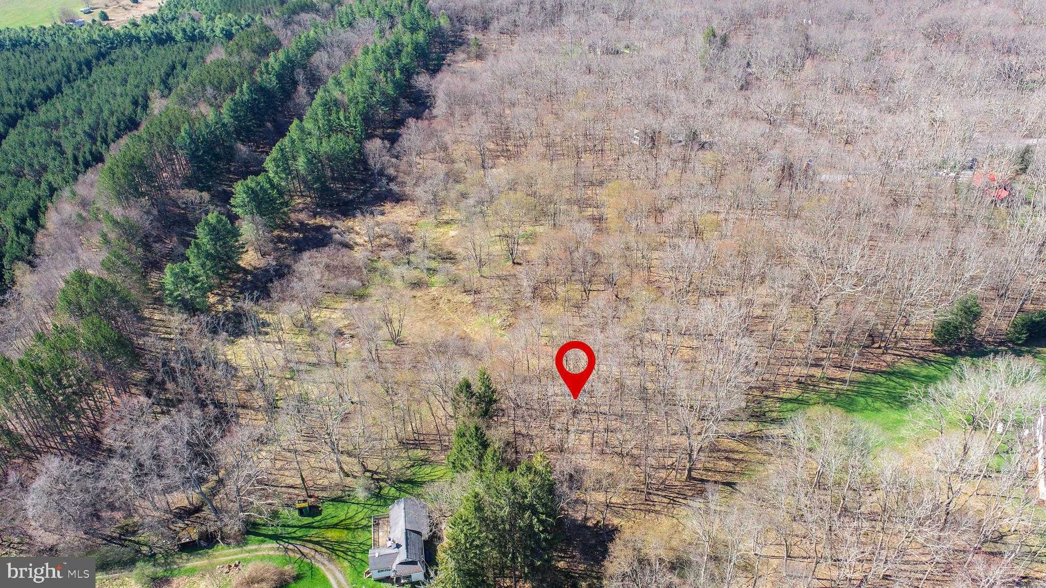 44 Limpopo Ln photo 9