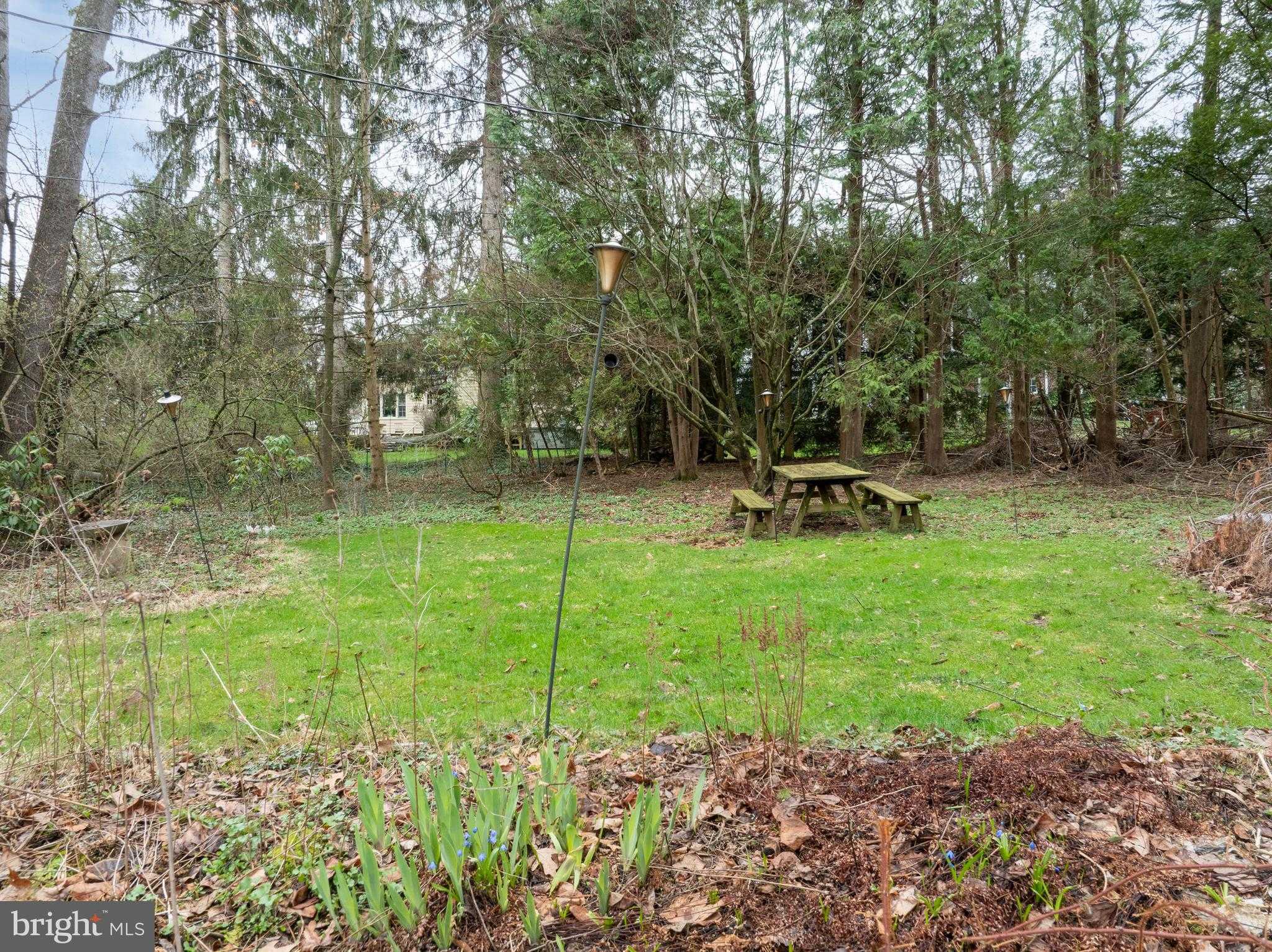 418 Martin Ter photo 7