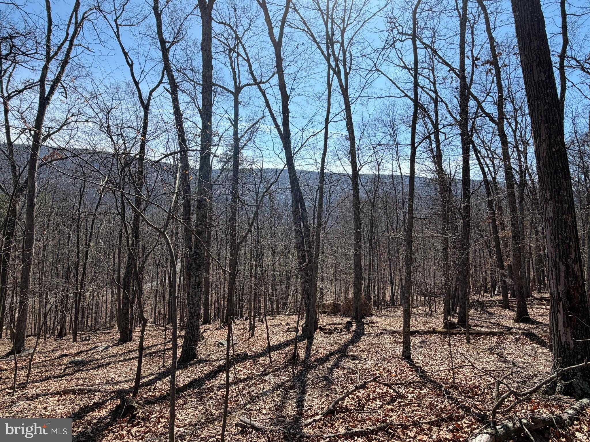 43 Rapids Point Trl photo 6