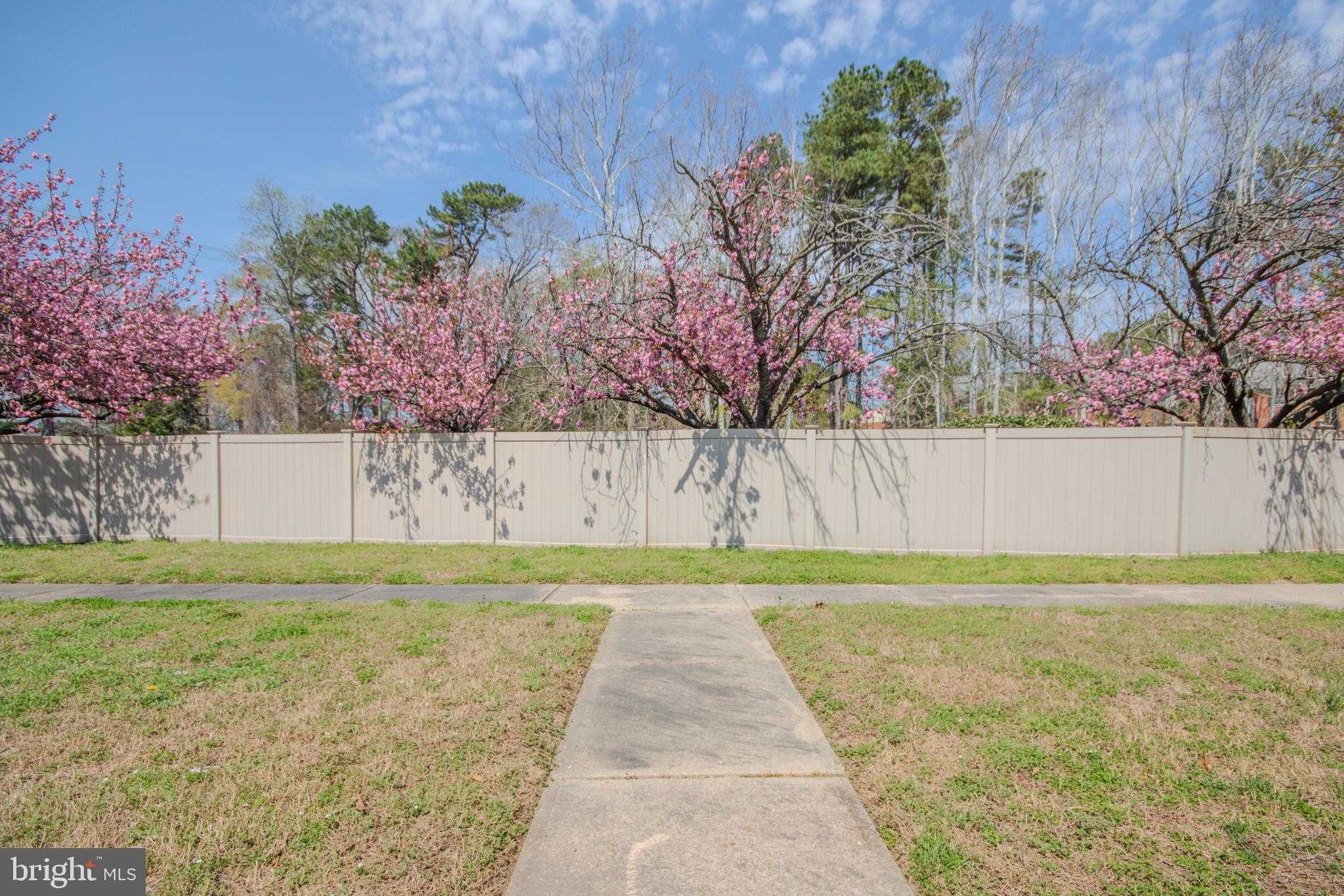 856 Beaglin Park Dr photo 22