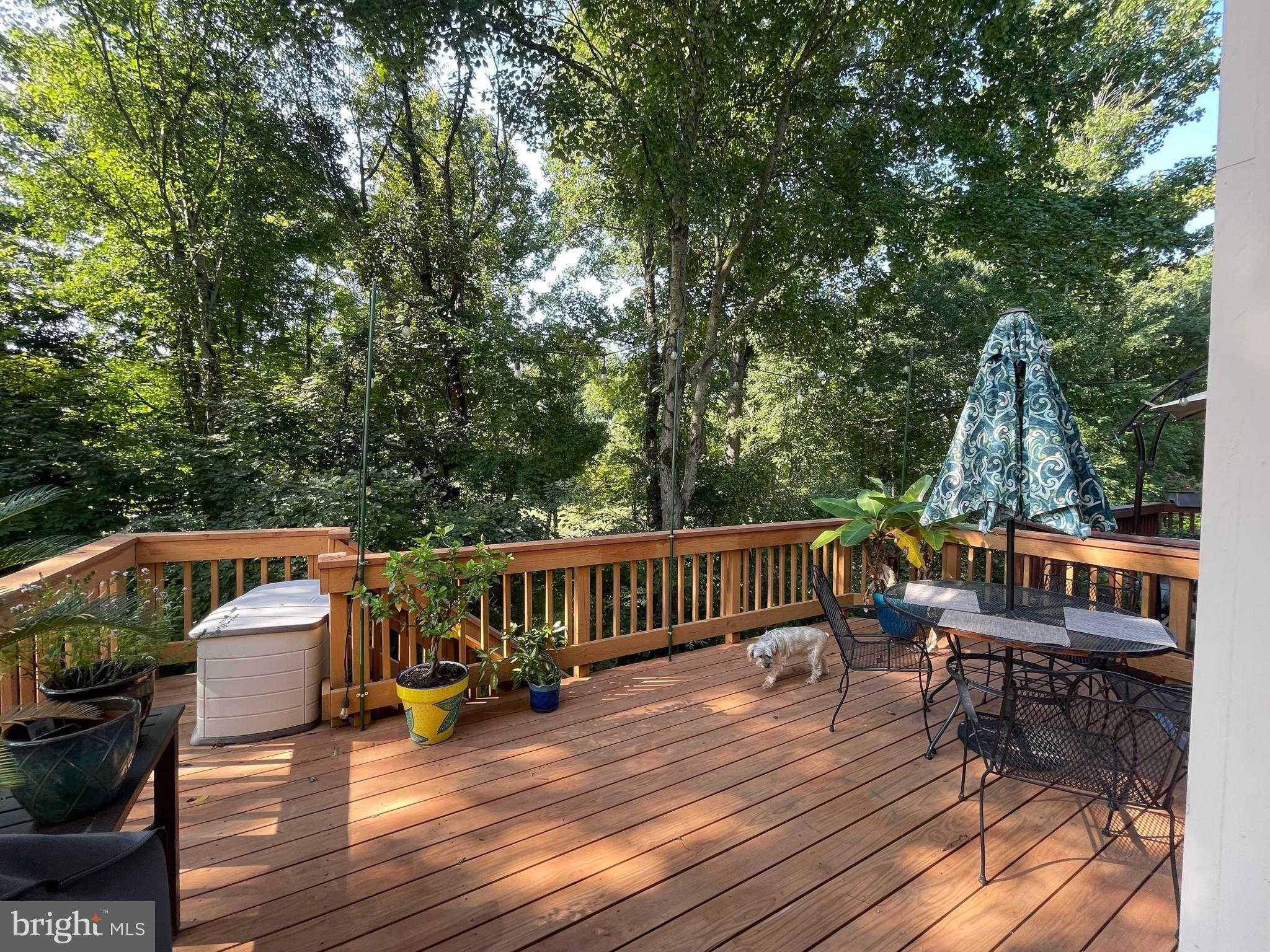 5339 Tarkington Pl photo 32