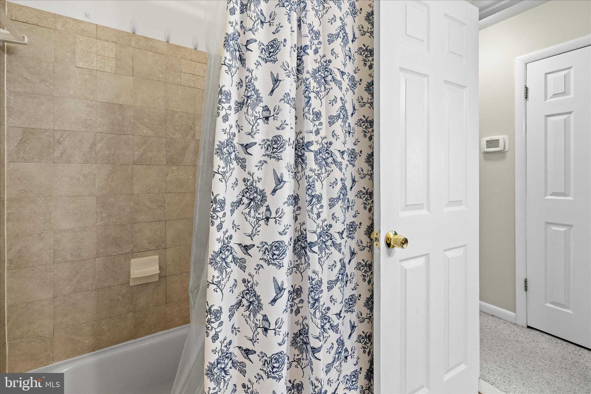 109 Wileys Ln photo 37