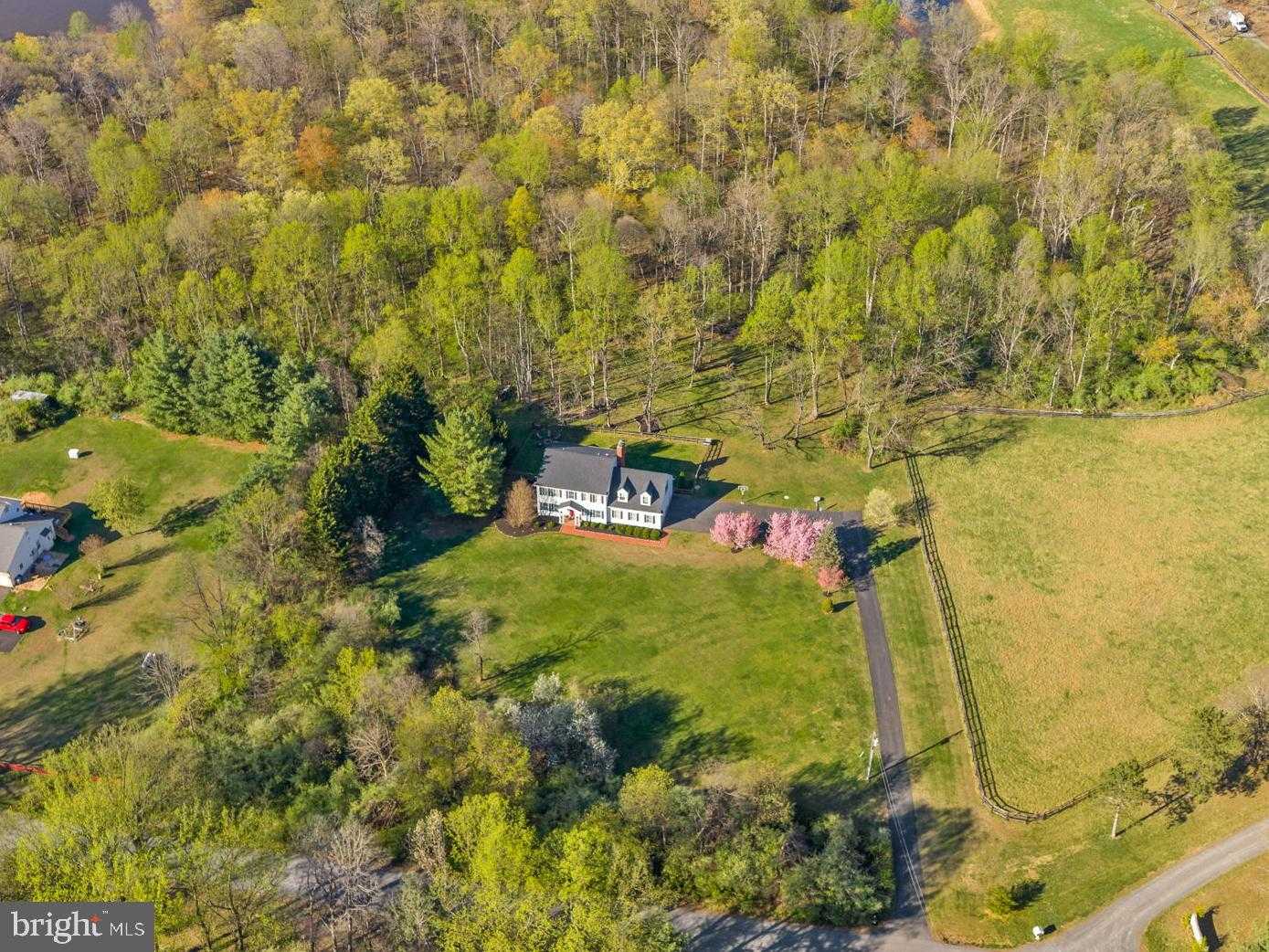 43464 Evans Pond Rd photo 4