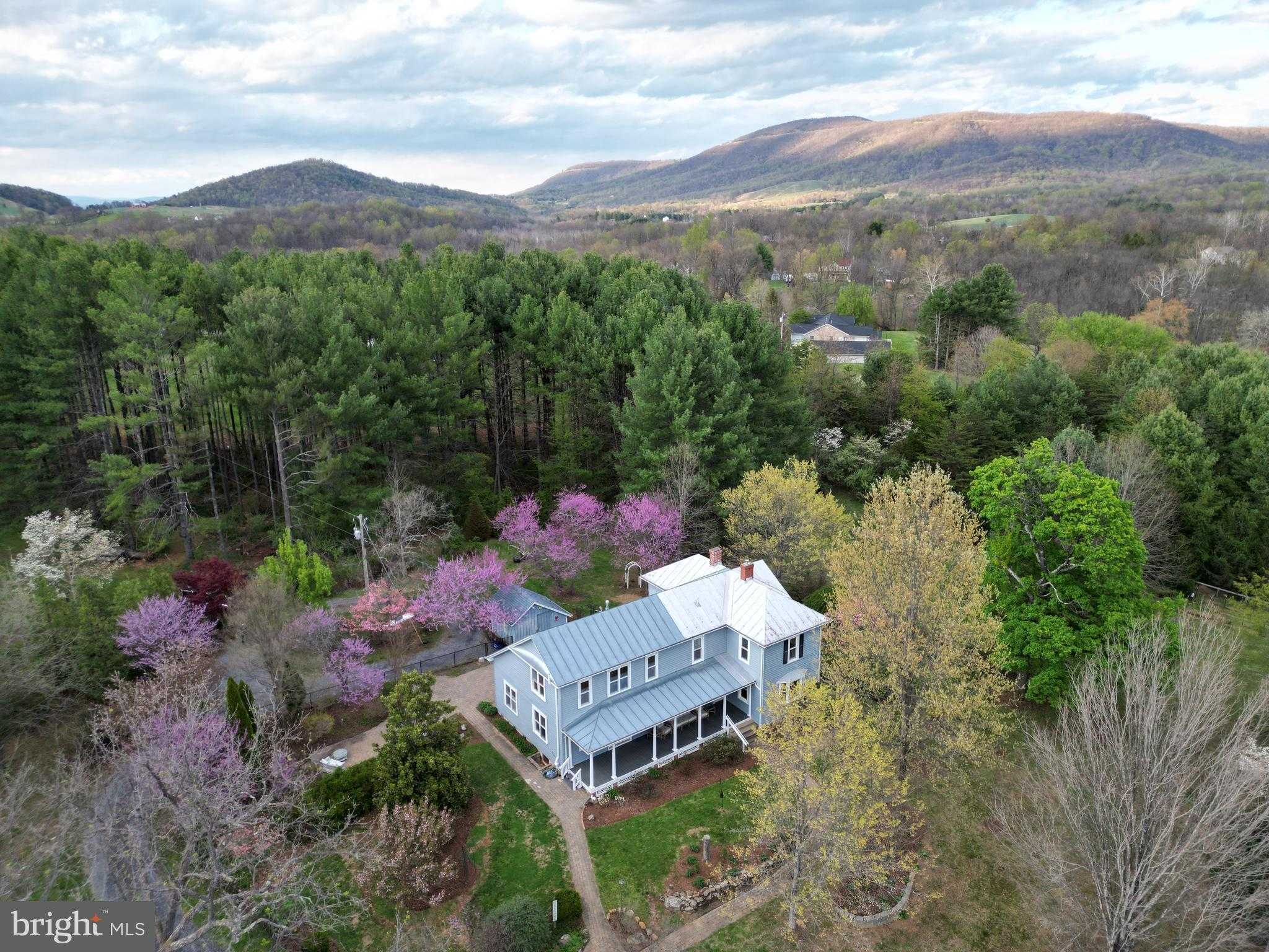 104 Wesley Ln photo 89