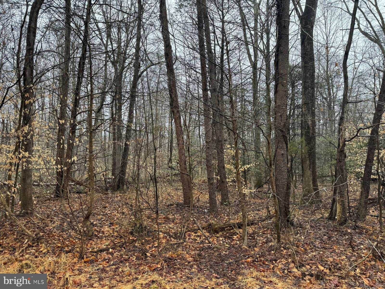 8465 Warren Dr photo 4