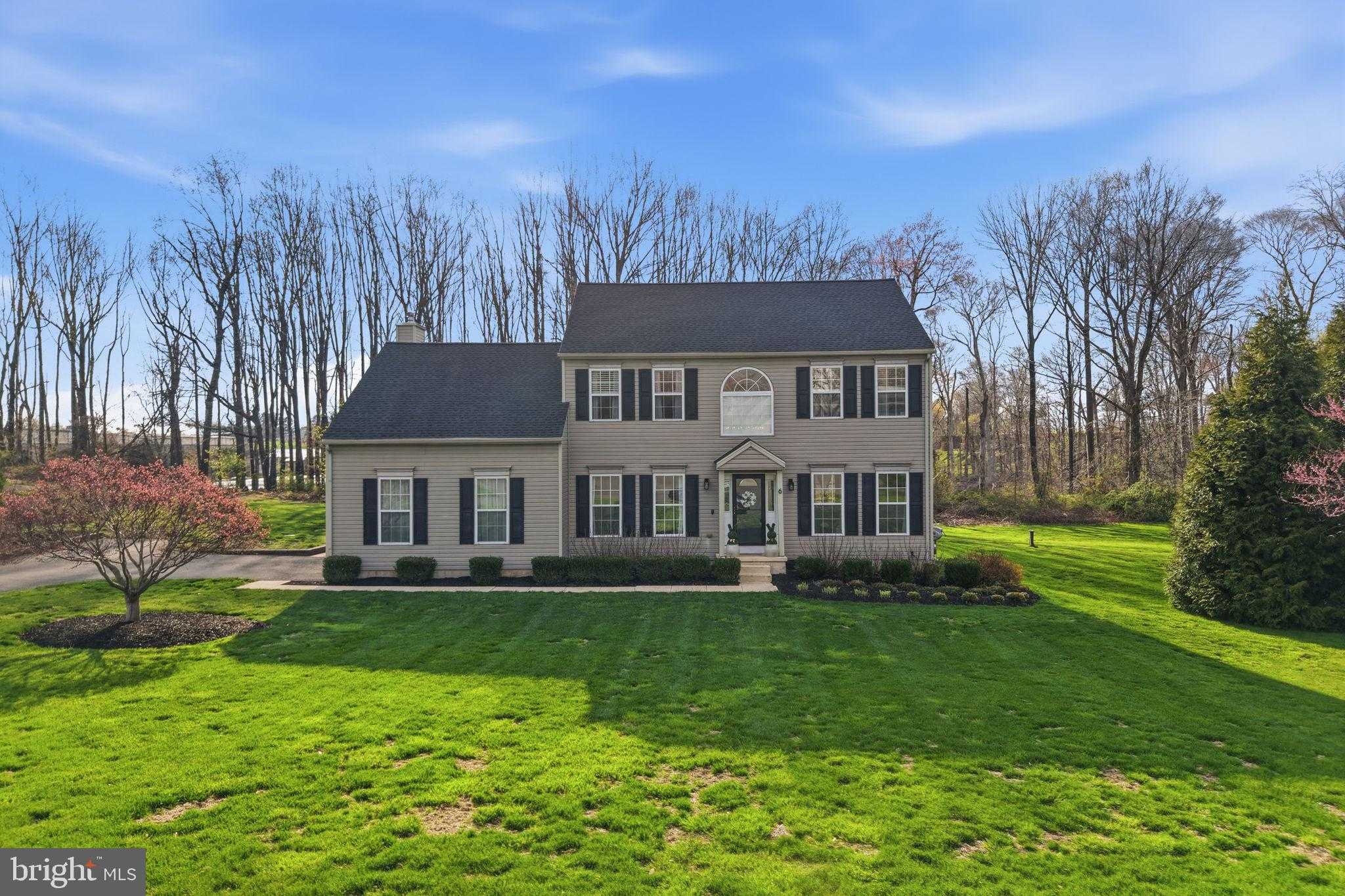 6 Saddle CT photo 70