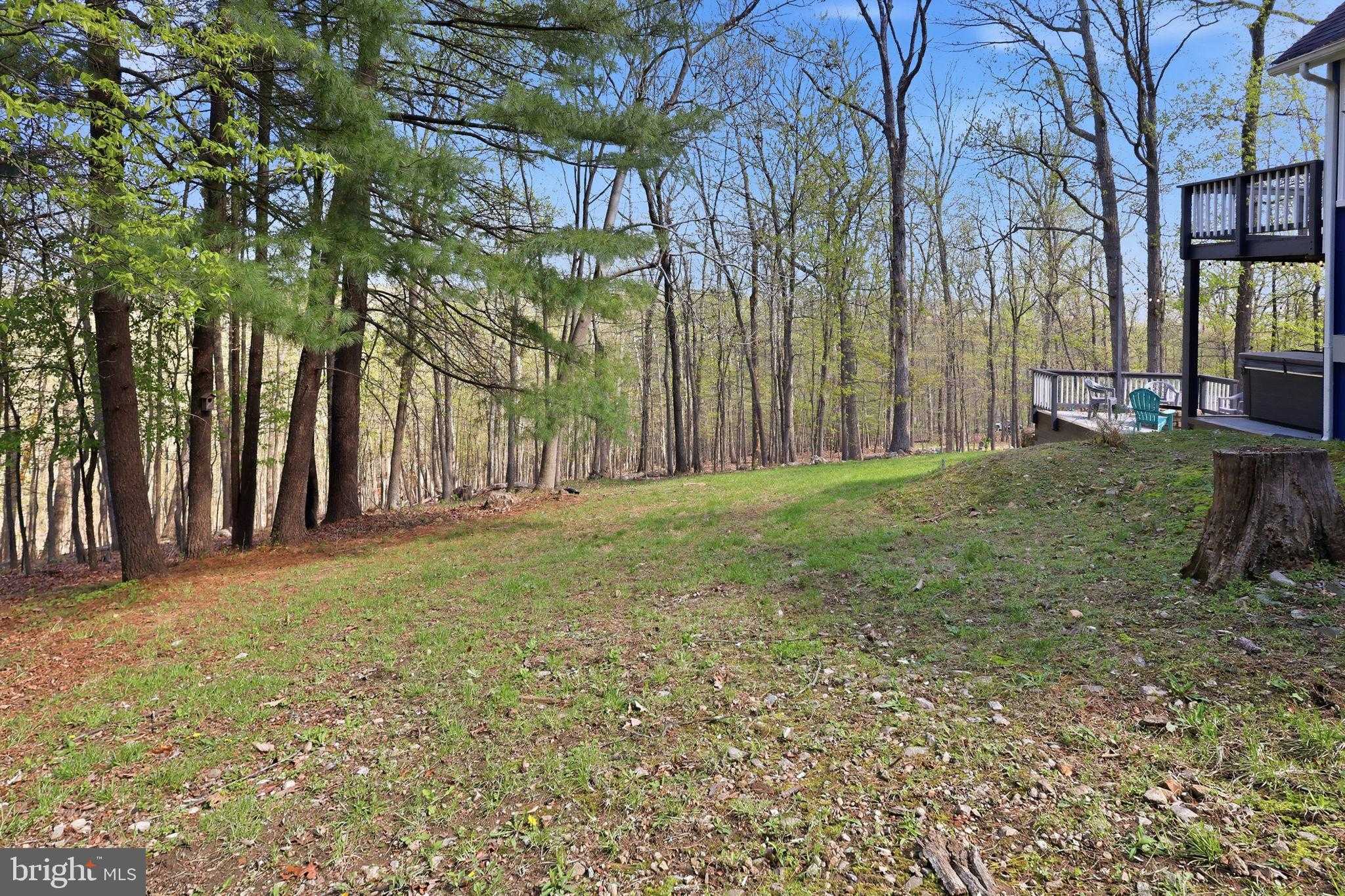 241 Wildcat Dr photo 40