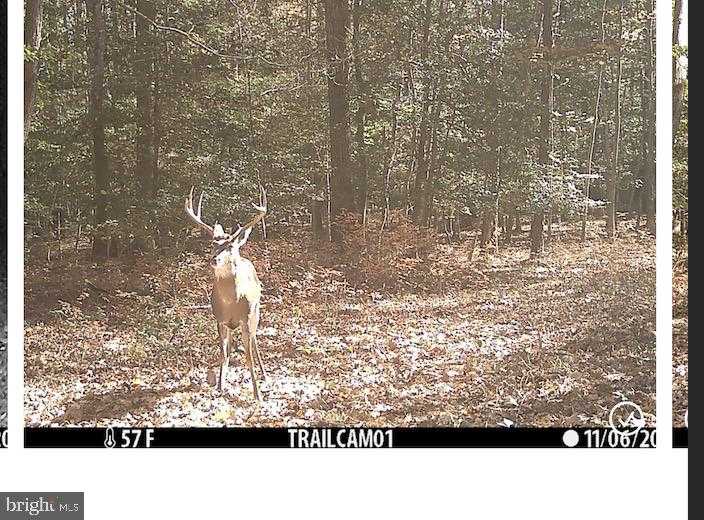 0 BLAKE ROAD photo 35