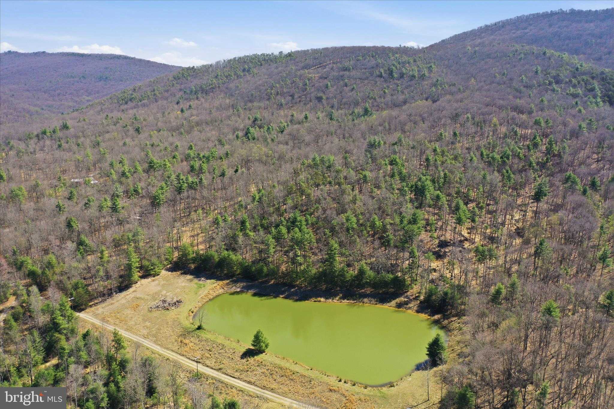 54 Falcon Rd photo 3