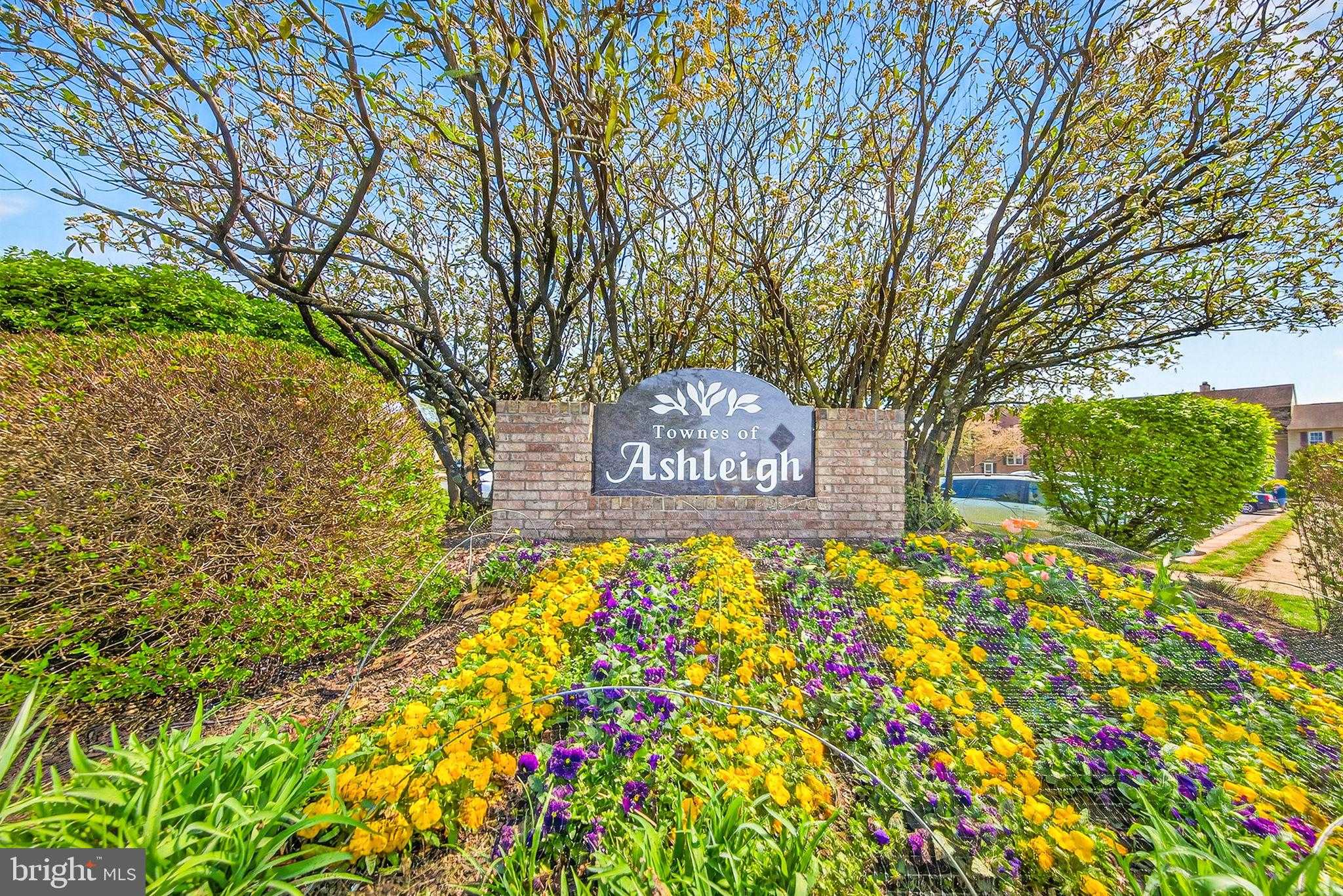 7407 Barbados Ln photo 50