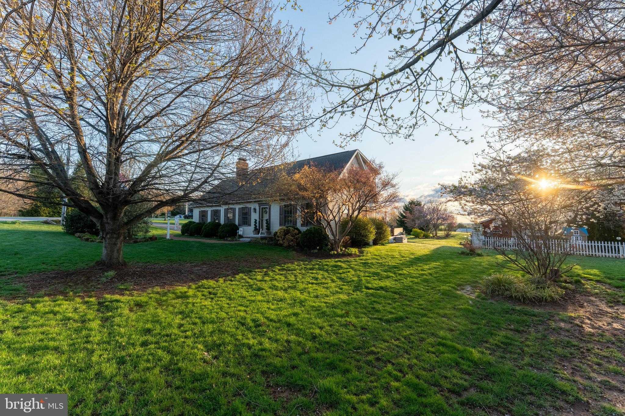 13729 Cross Roads Ave photo 4