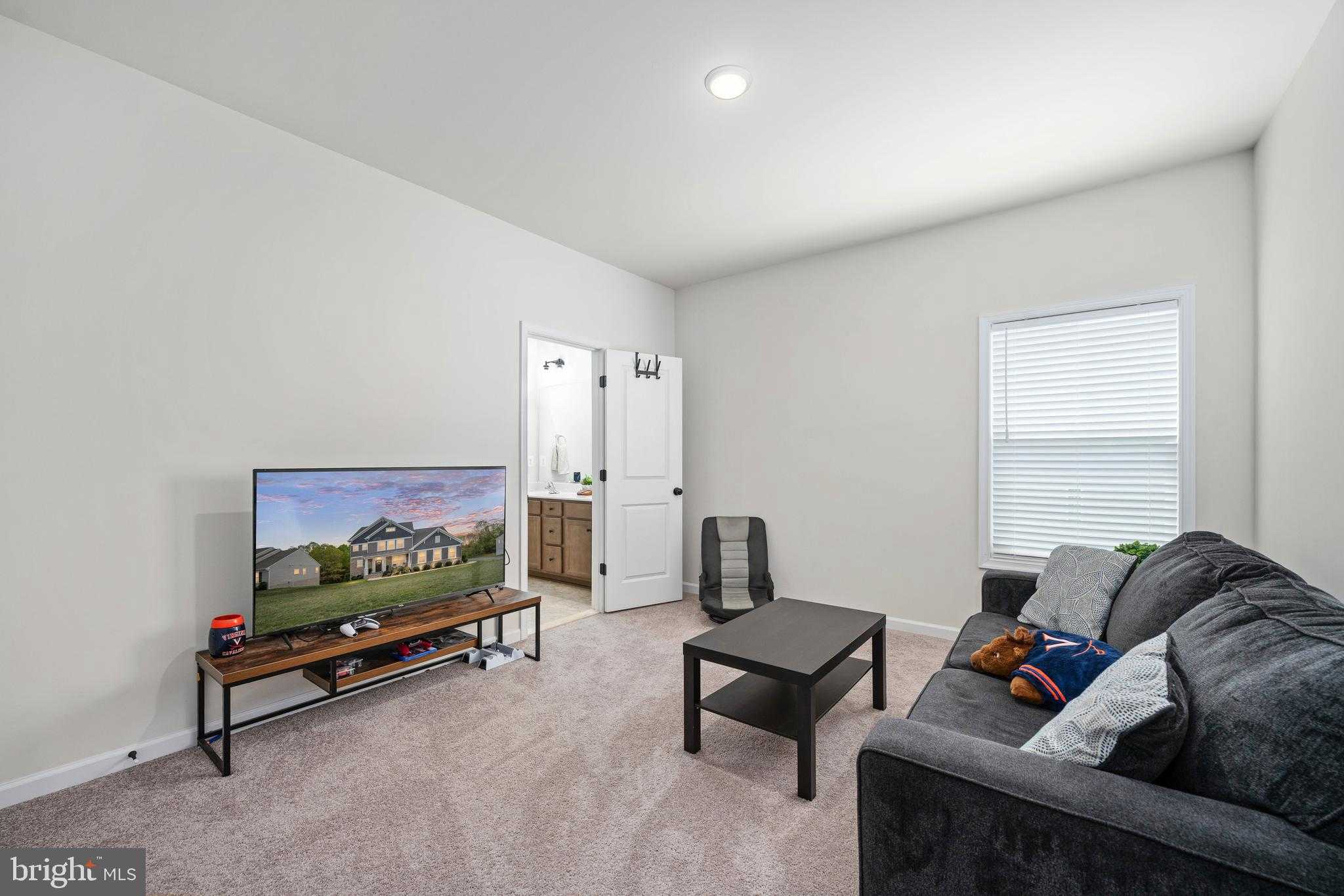 310 Liberty Hall Dr photo 40