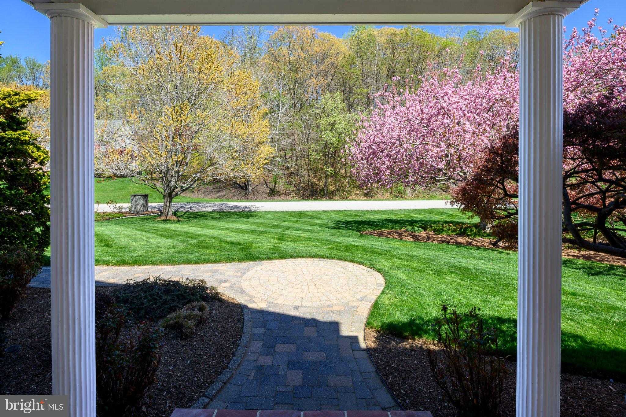 205 Maple Creek Ln photo 5