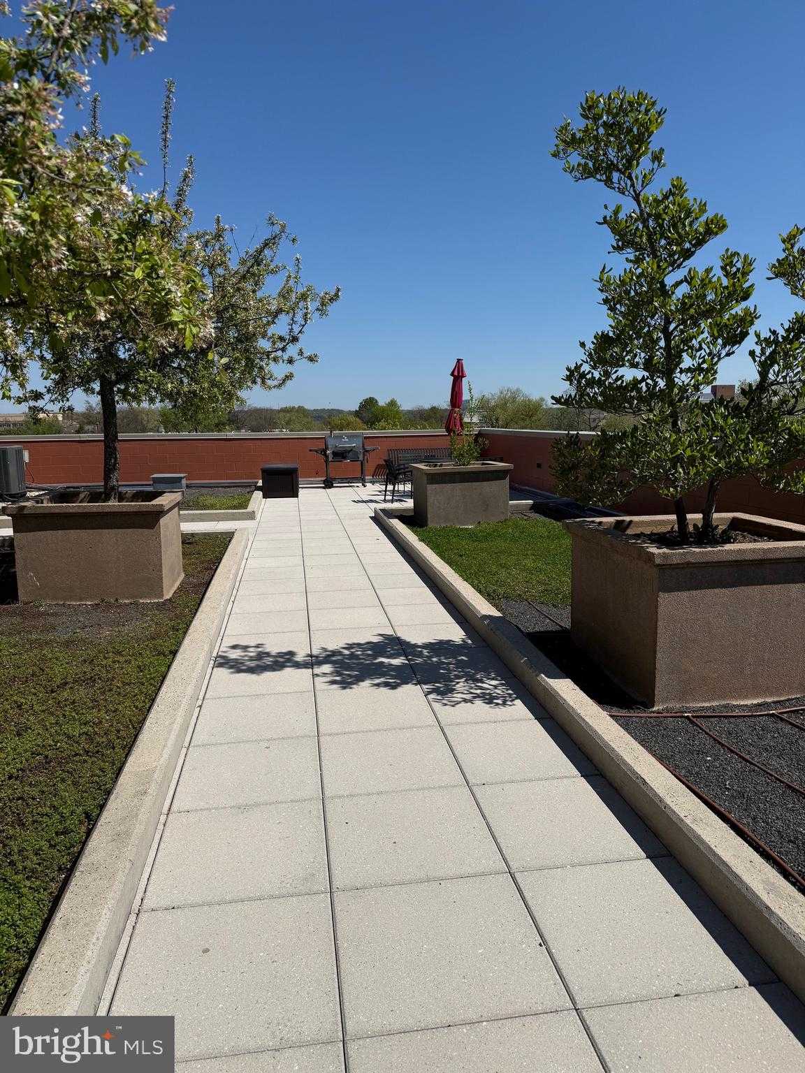 1111 Oronoco St Unit 225 photo 27