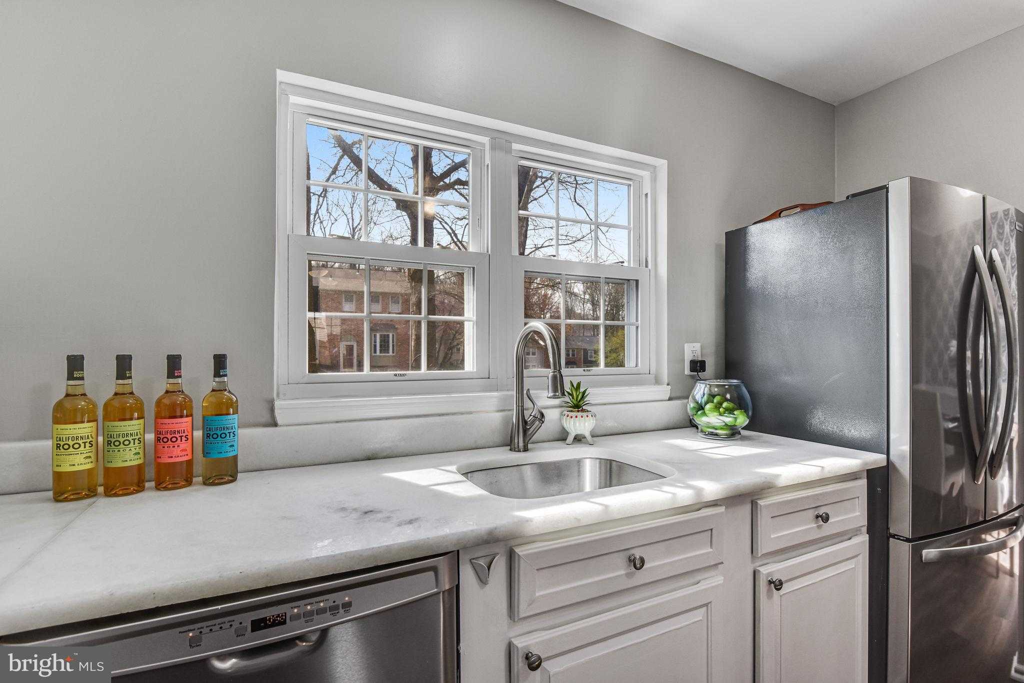 10125 Sassafras Woods CT photo 9