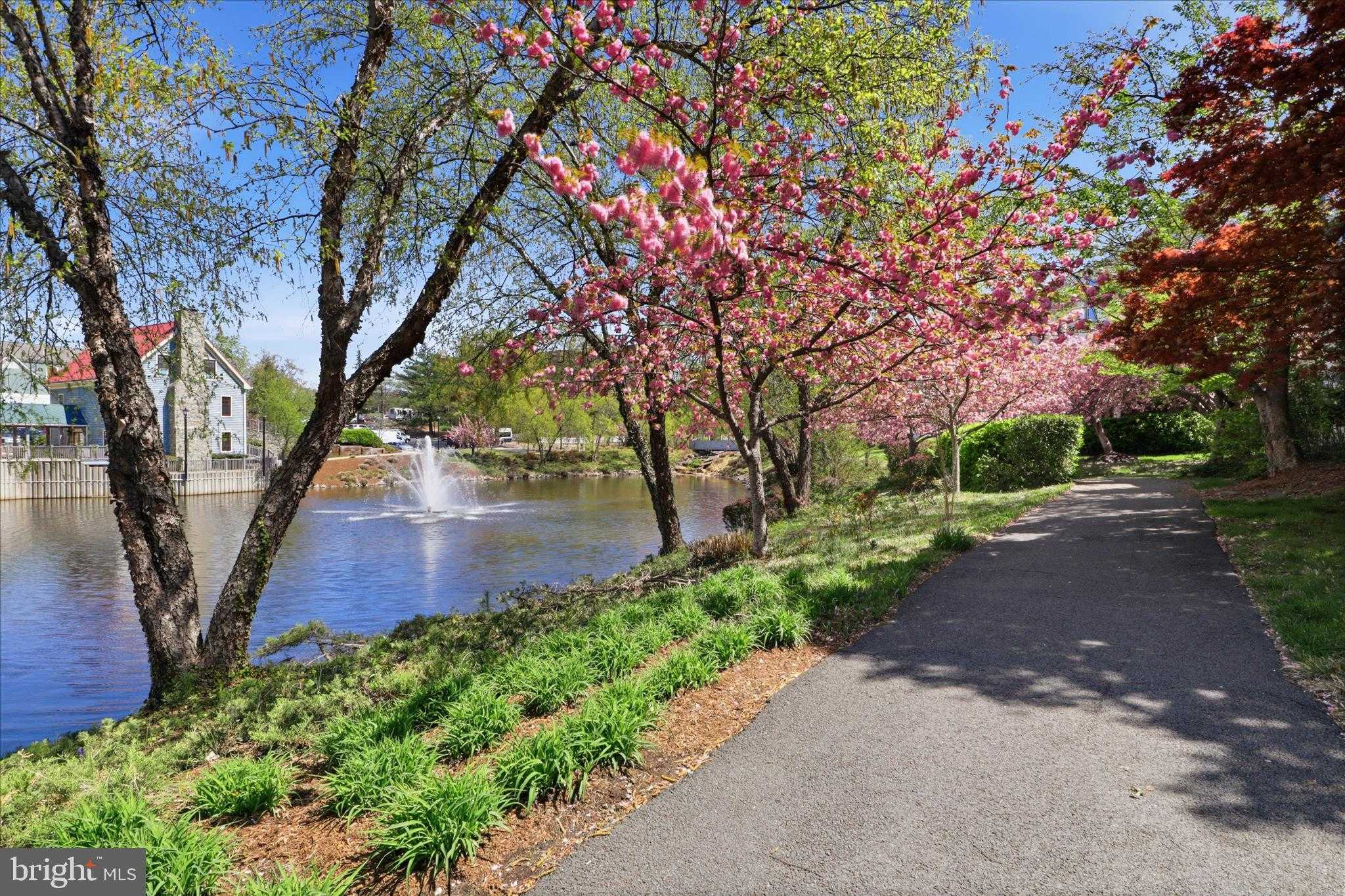 12845 Mill Brook CT photo 12