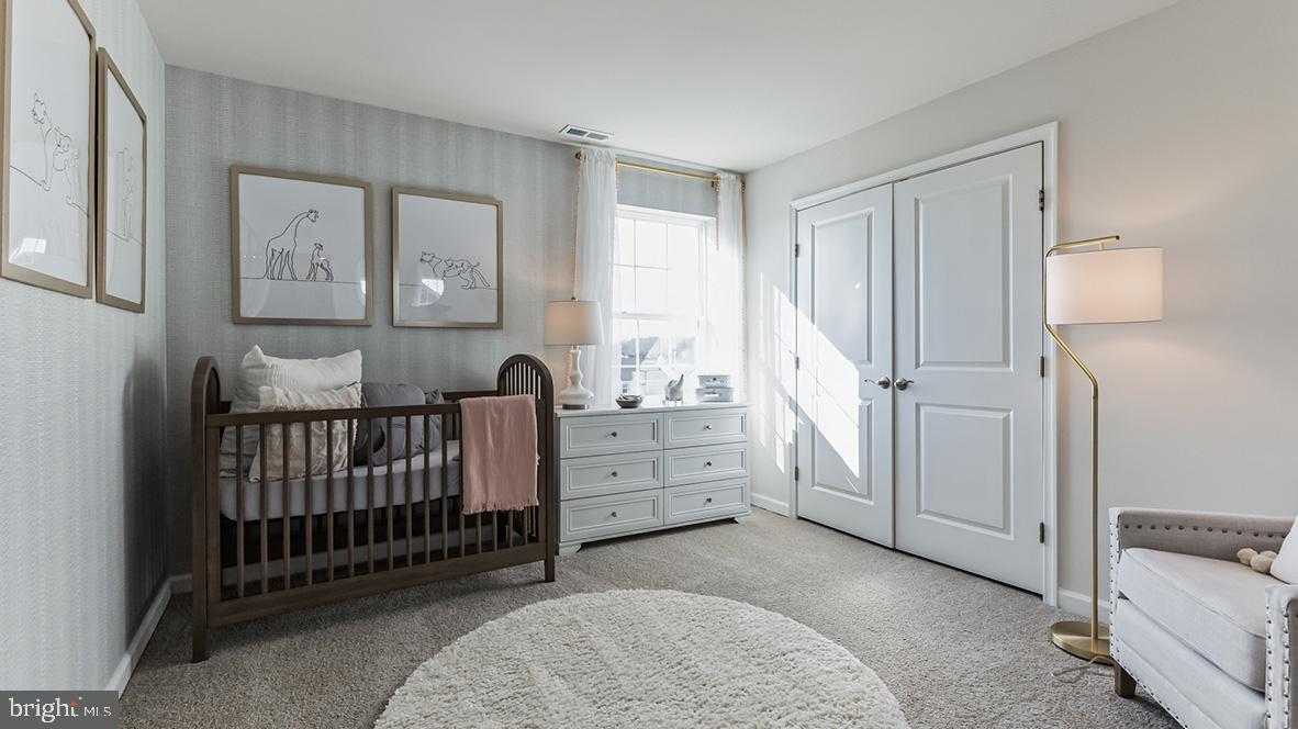 24 Cudesa CT photo 15