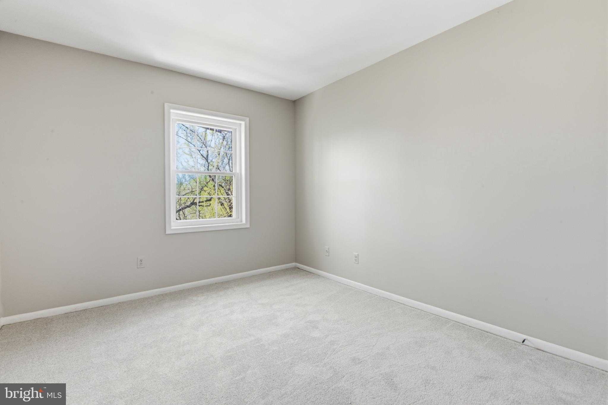 11835 Old Columbia Pike # 42 photo 11