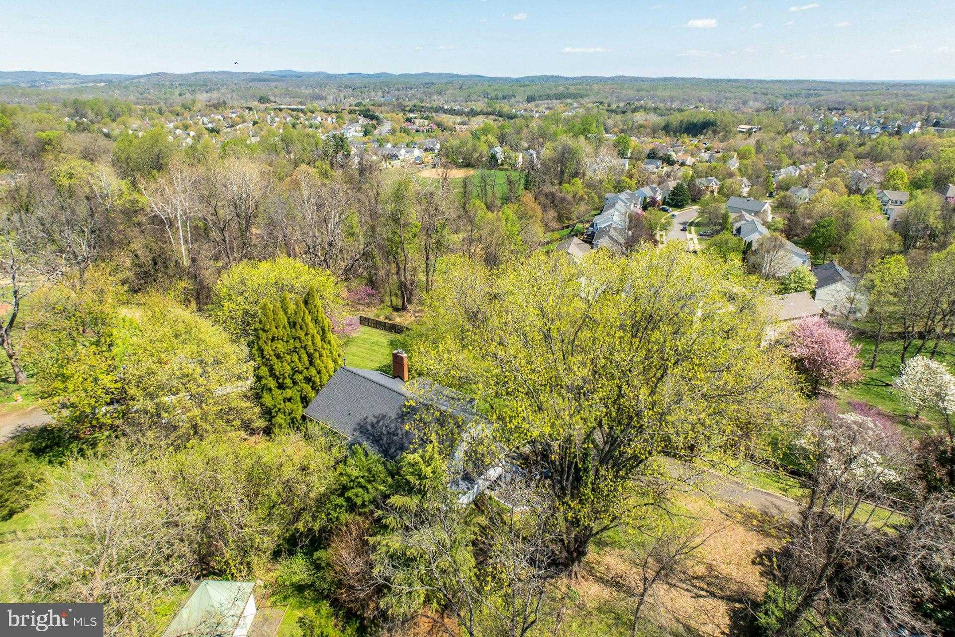 221 Mockingbird Ln photo 57