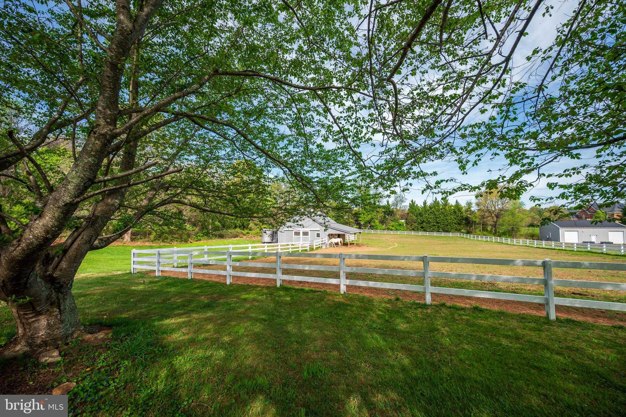 12850 Highland Rd photo 51