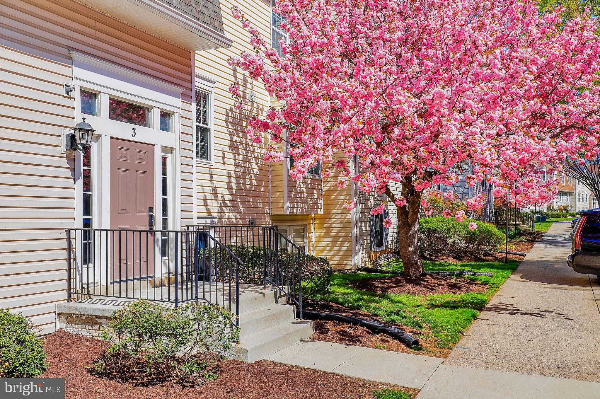 3 Pickering Ct photo 2