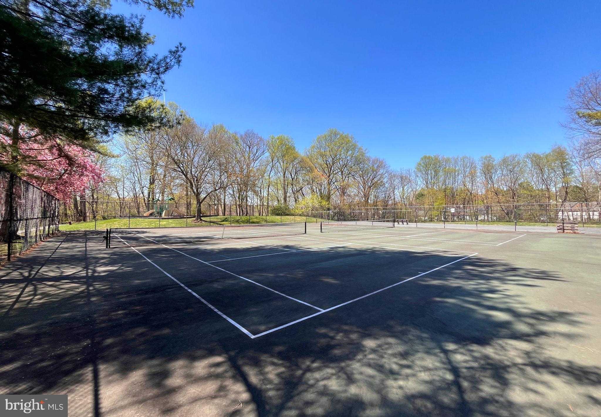 3 Pickering Ct photo 38