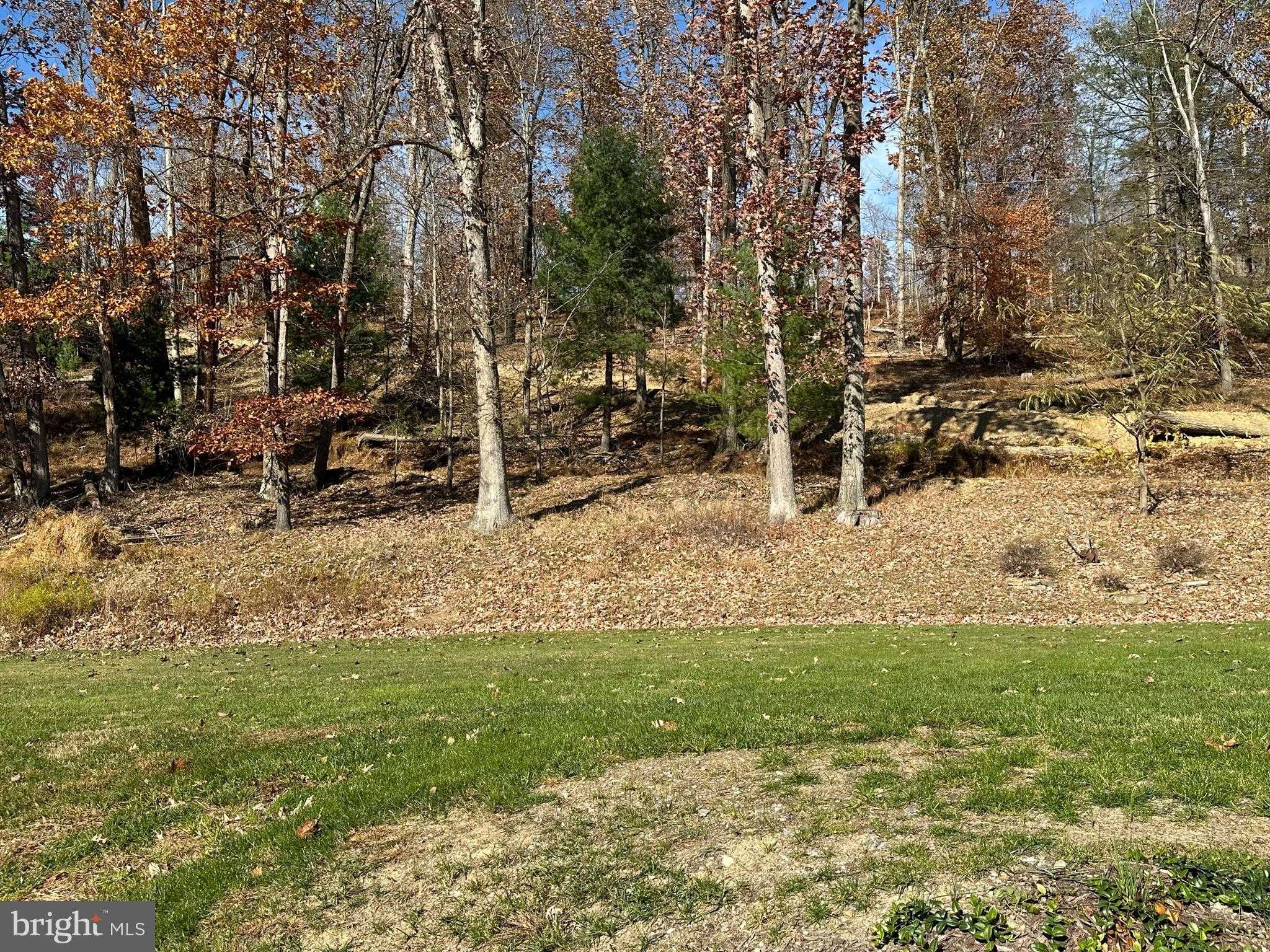 2470 Bald Eagle Pike photo 7