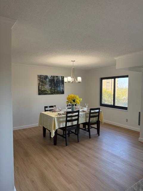 203 Yoakum Pkwy photo 11