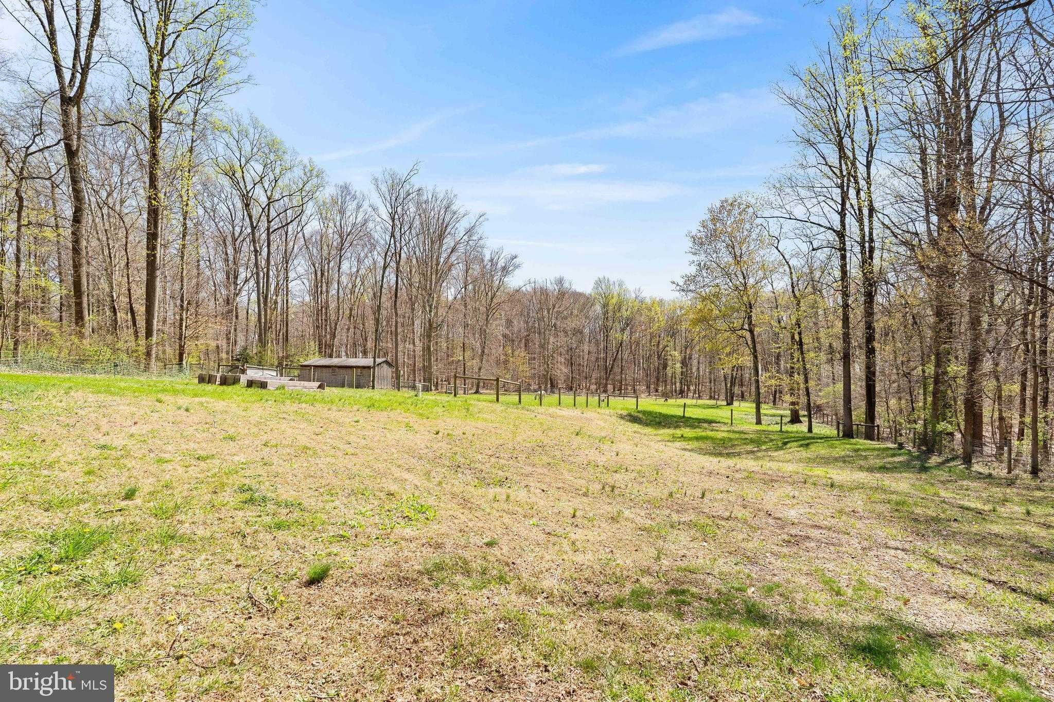 458 Tonys Rd photo 7