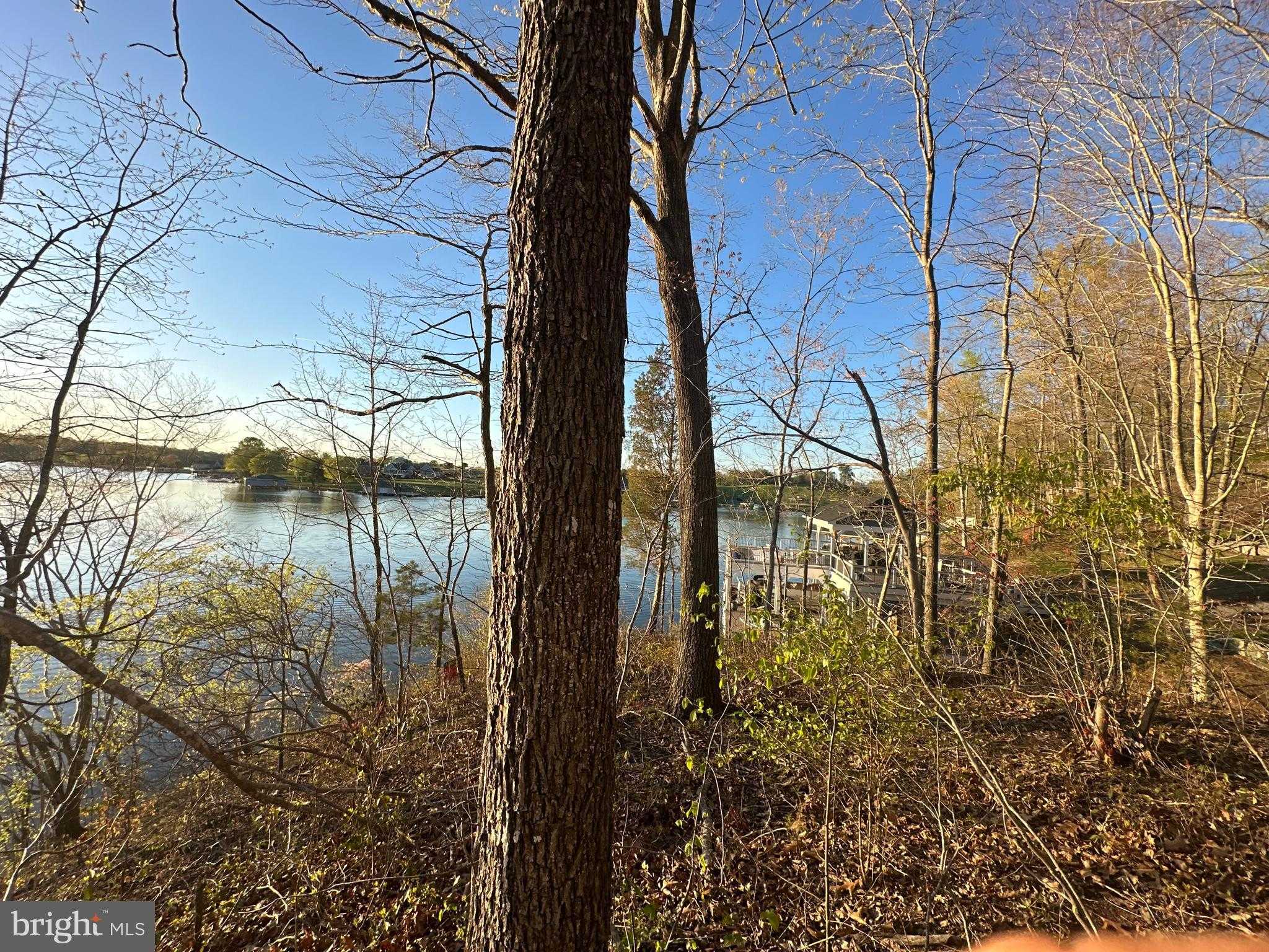 6302 Belmont Rd photo 2