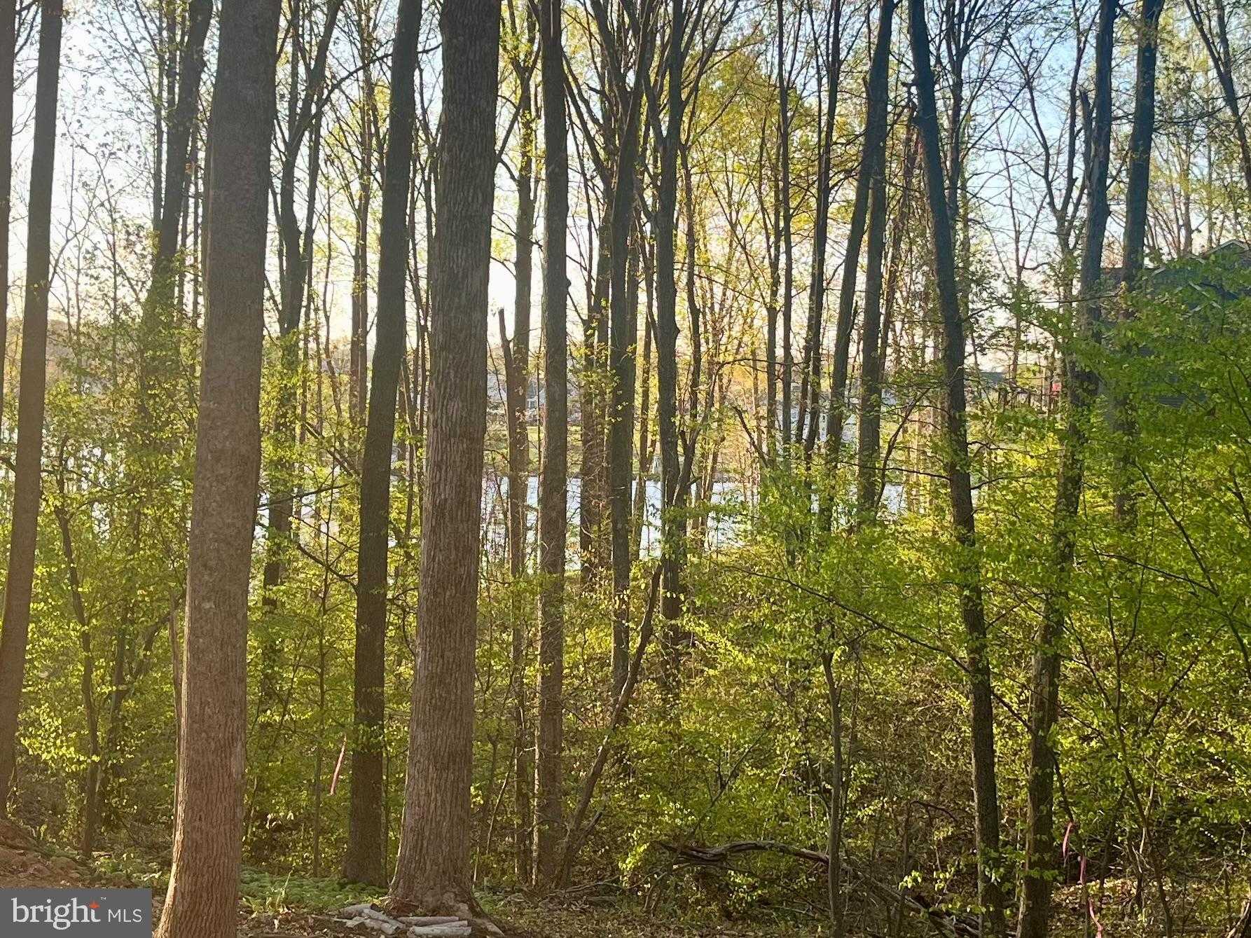 6302 Belmont Rd photo 7