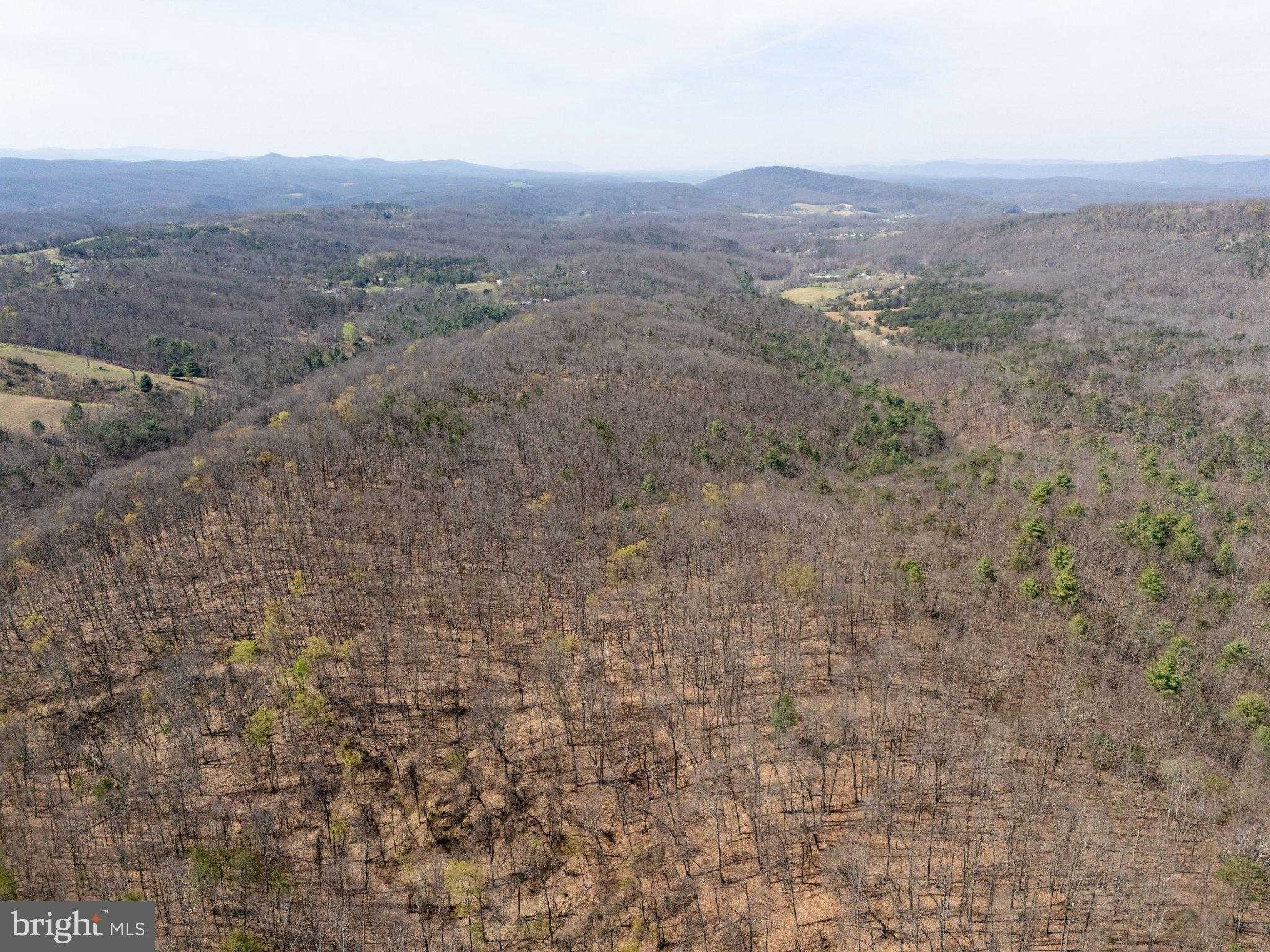 Walnut Ridge Rd photo 12