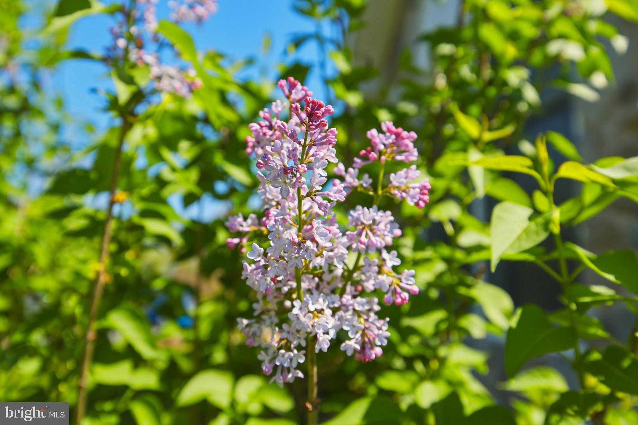 515 Hollingsworth Rd photo 60