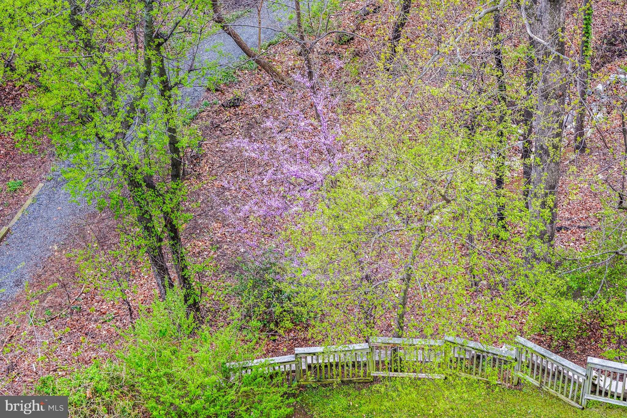 5904 Mount Eagle Dr Apt 718 photo 11