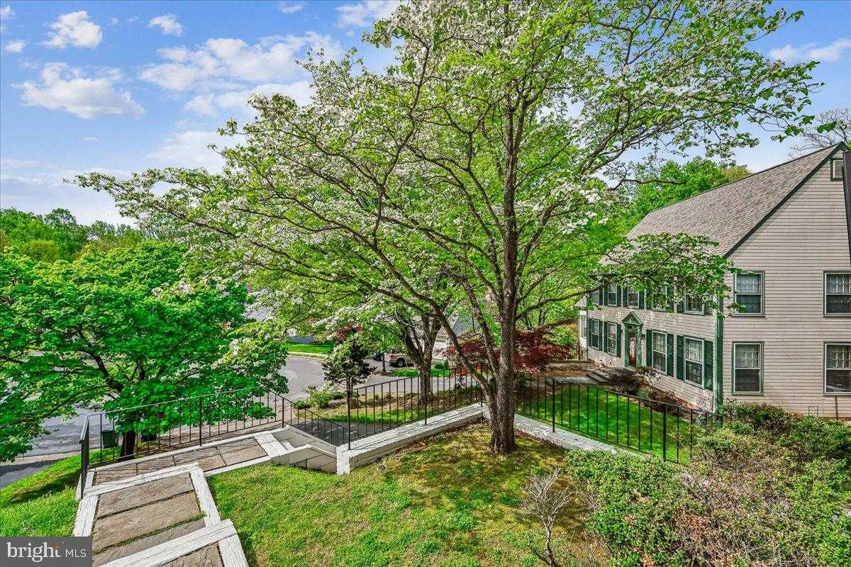 11449 Frances Green Dr photo 3