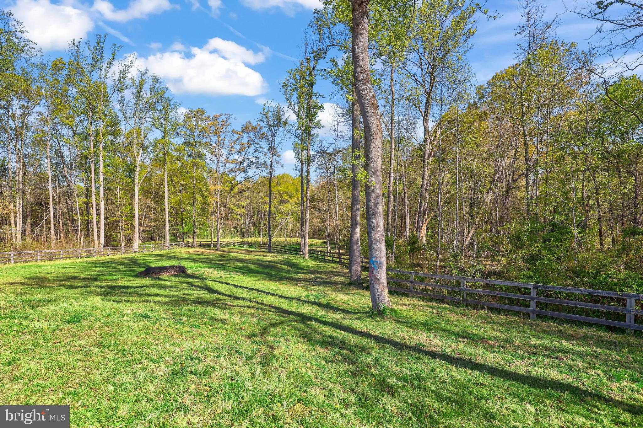 171 Poplar Rd photo 71