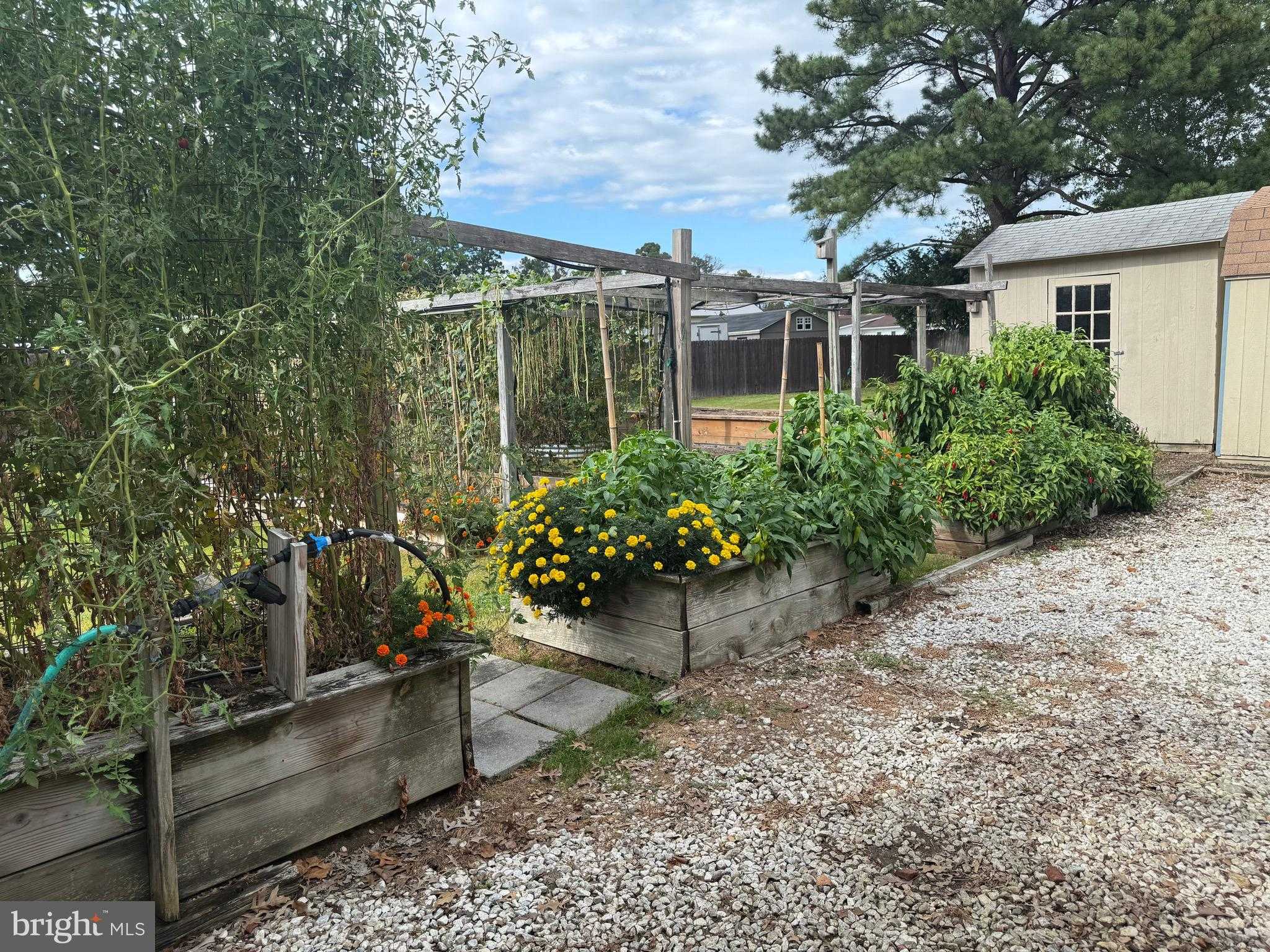 9 Merryweather Dr photo 15