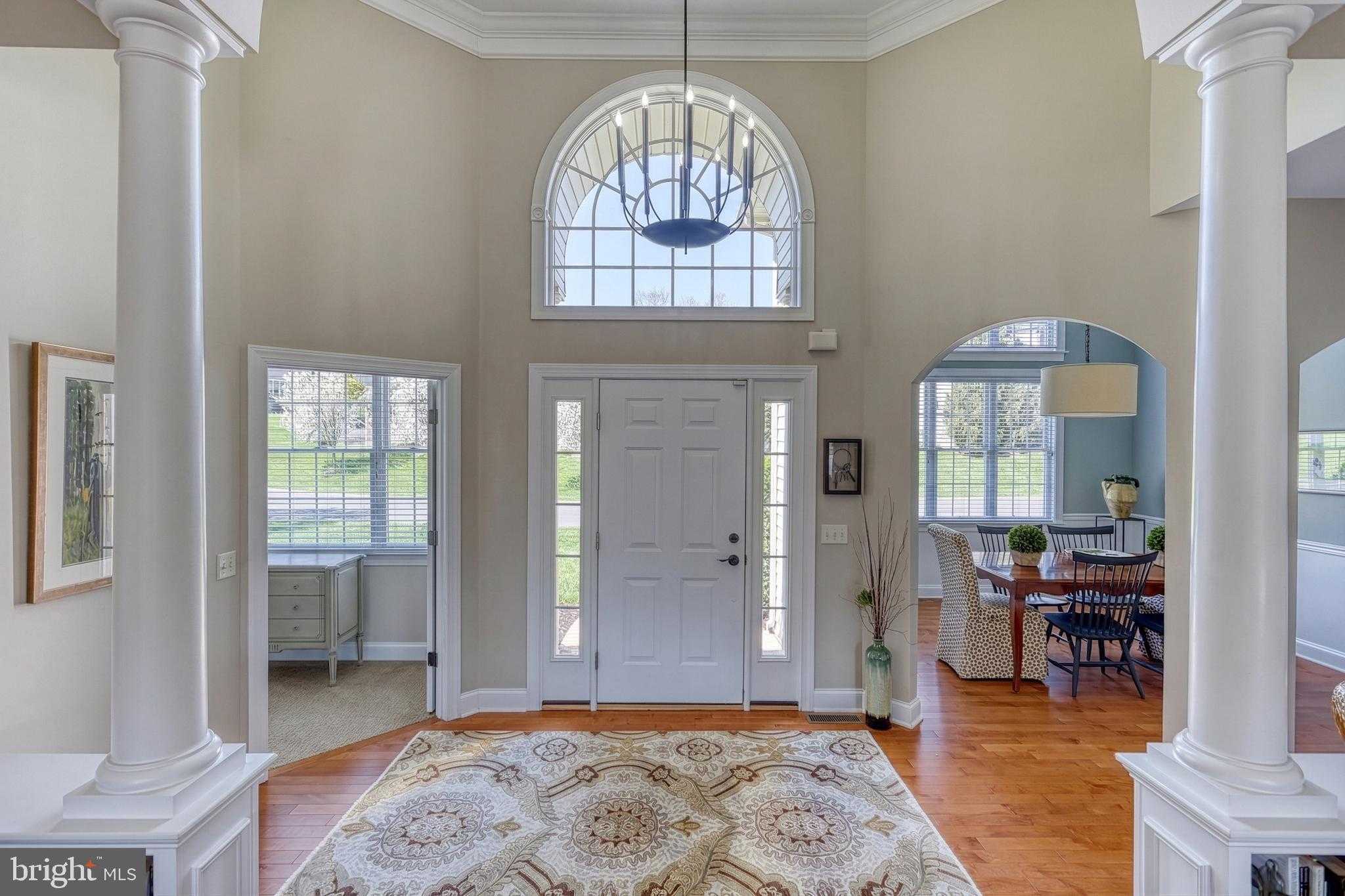 830 Sawgrass Ln photo 5