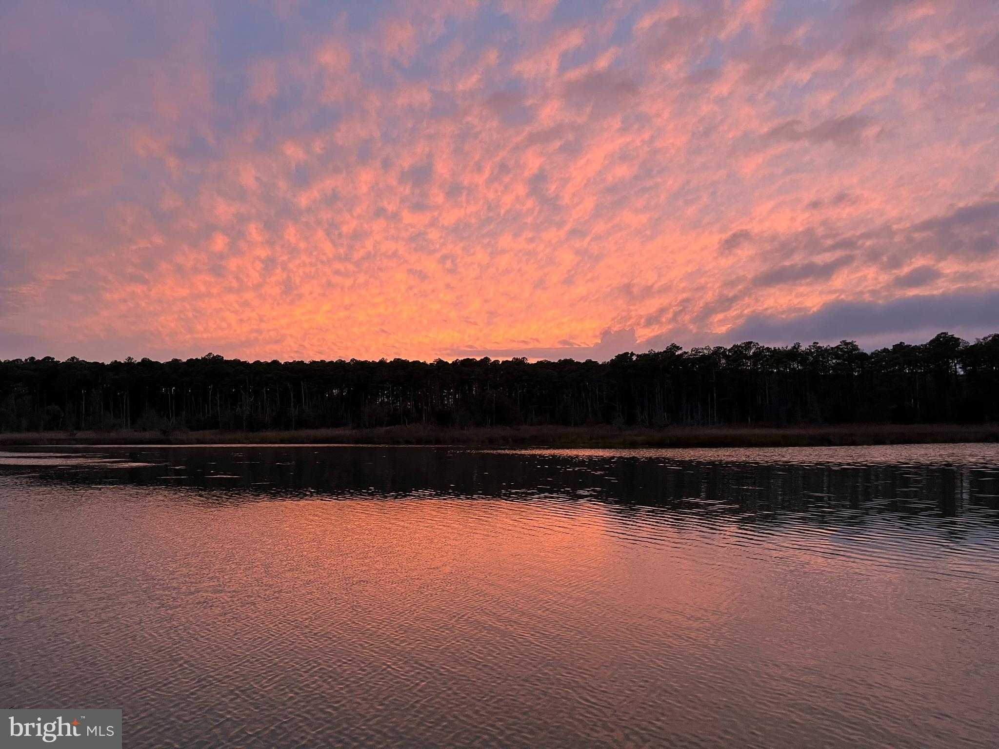 4004 Robinson Neck Rd photo 67