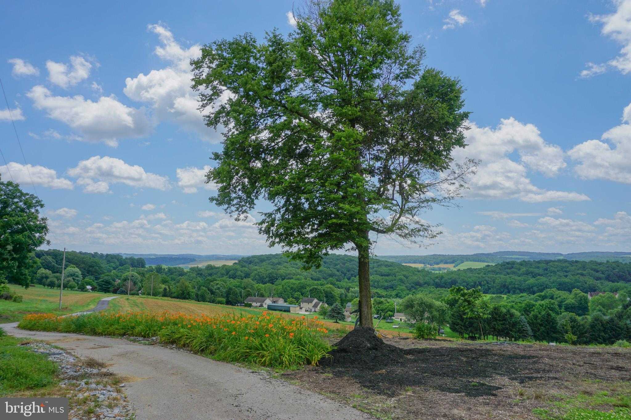 4815 Zeiglers Church Rd photo 114