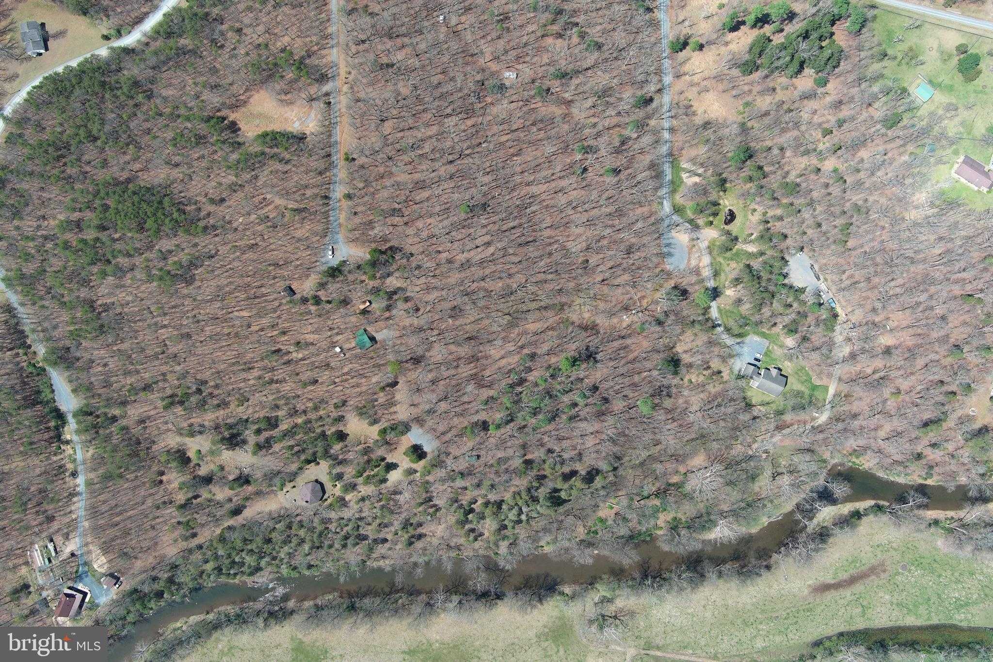 217 Trapper Ln photo 114