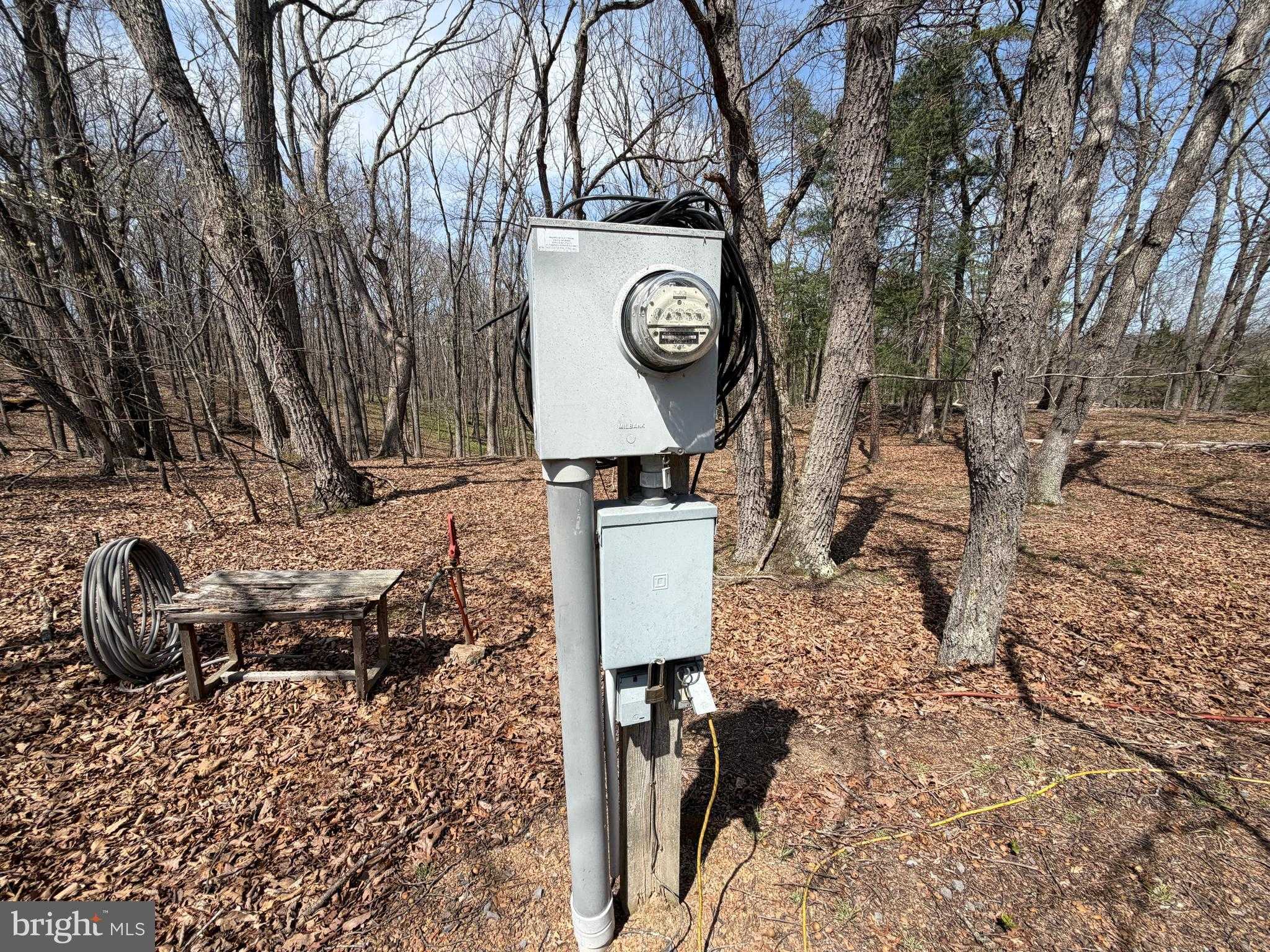 217 Trapper Ln photo 13